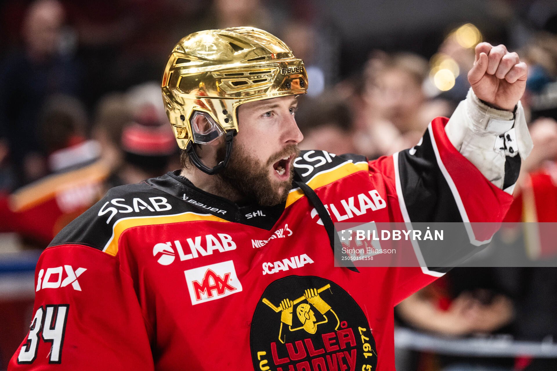 Luleås målvakt Joel Lassinantti jublar