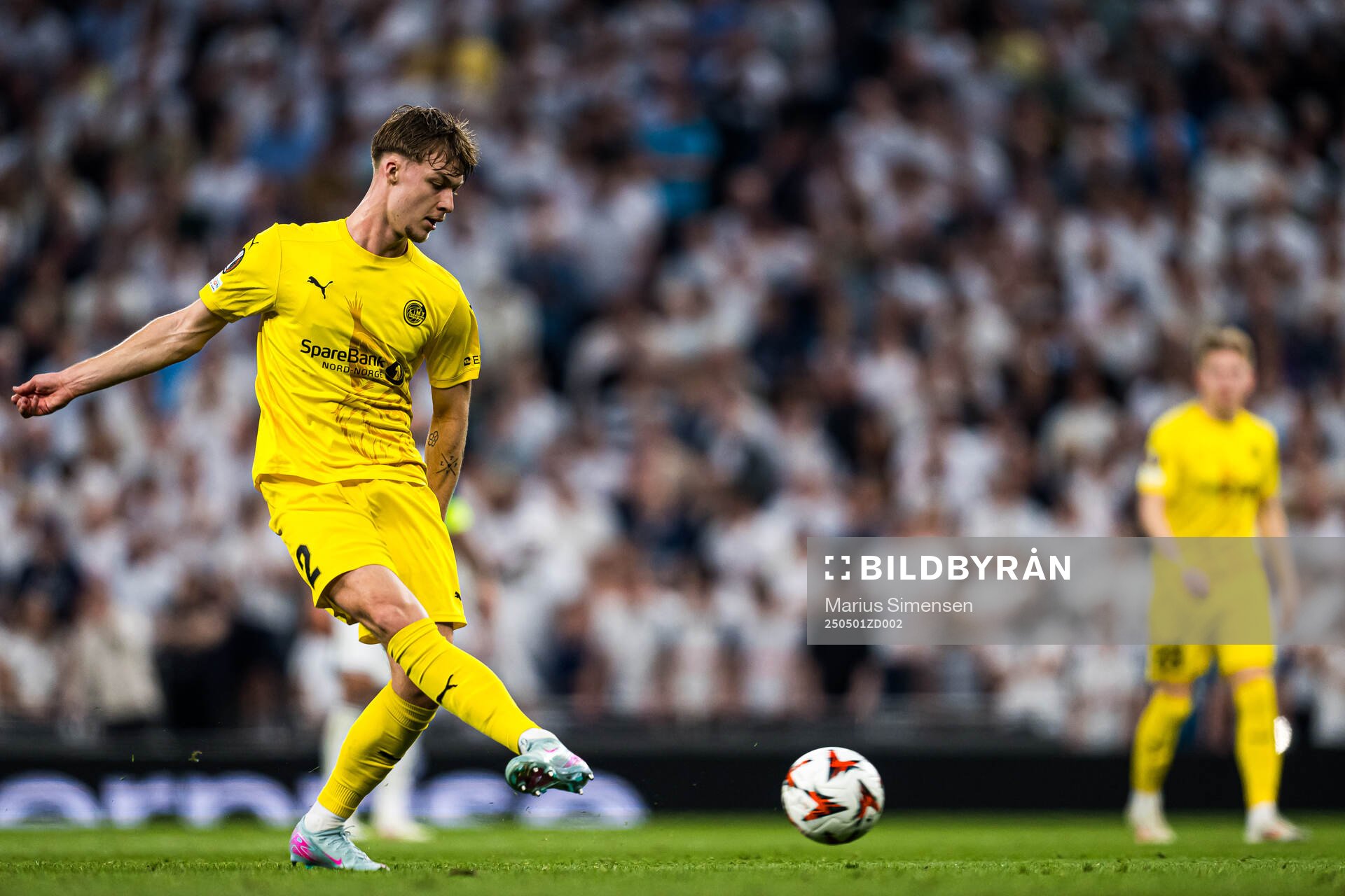 Villads Nielsen of Bodø/Glimt