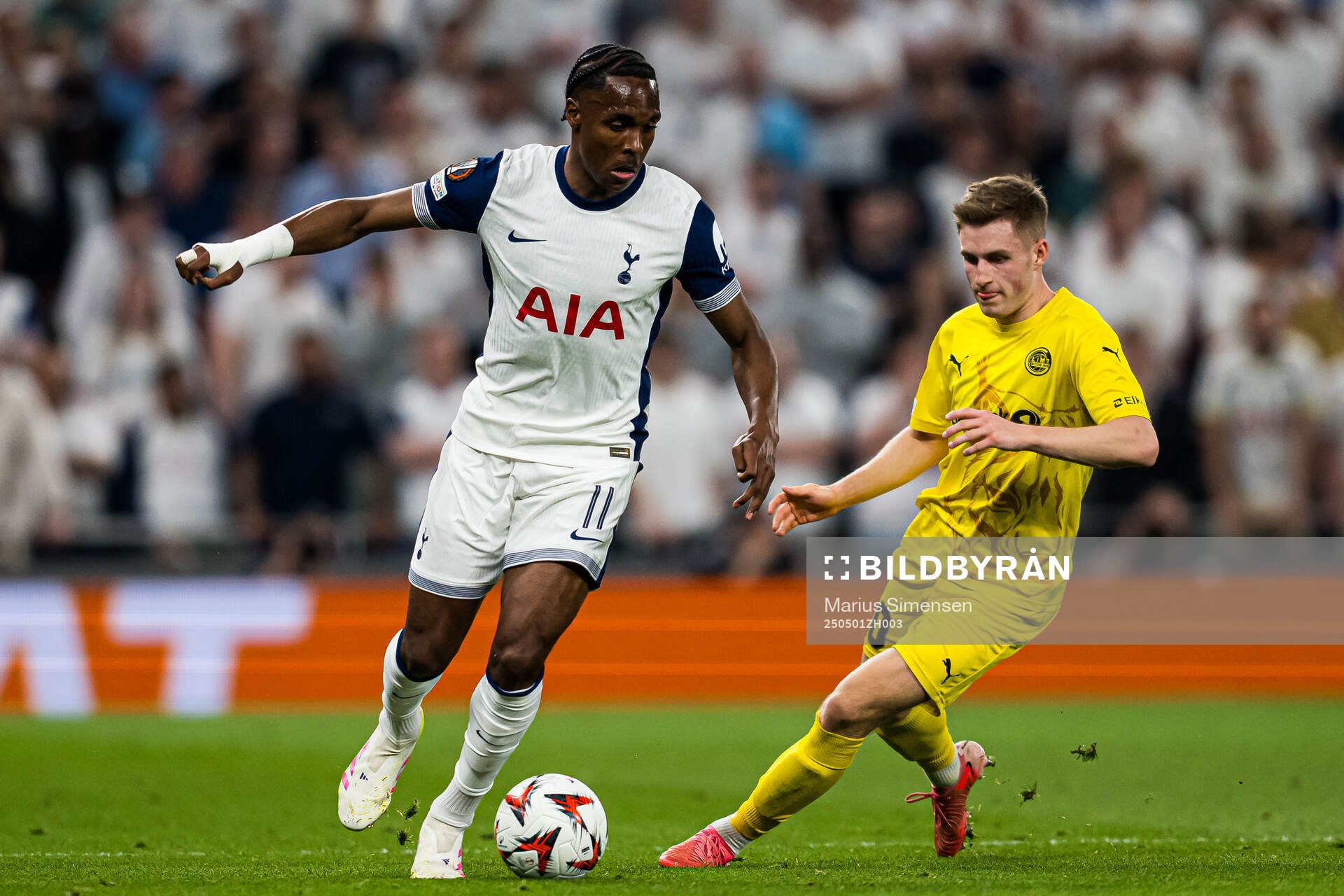 Mathys Tel of Tottenham and Fredrik Sjøvold of Bodø/Glimt