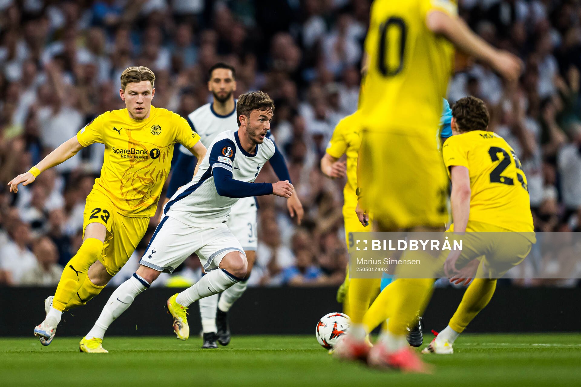 James Maddison of Tottenham