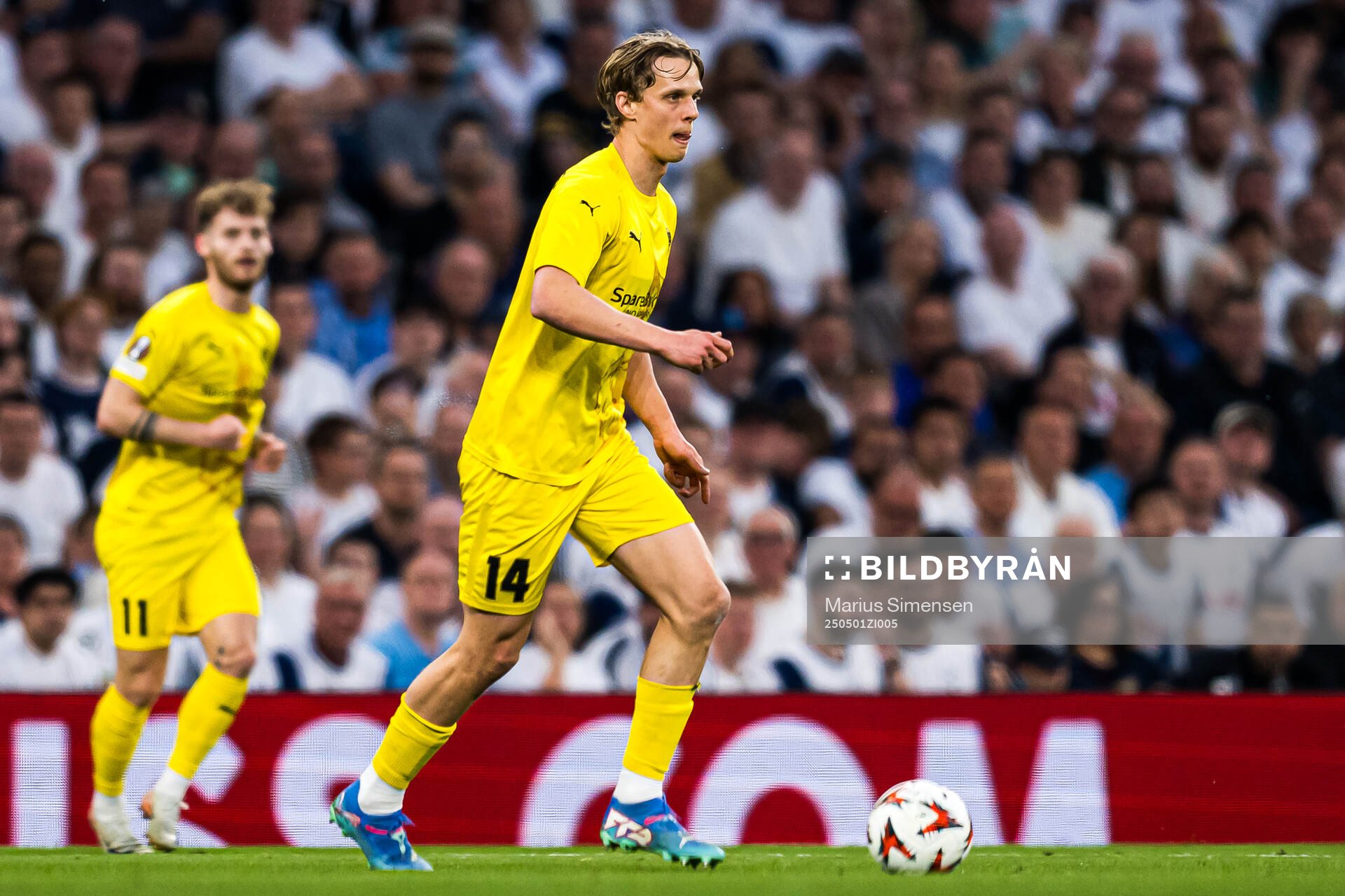 Ulrik Saltnes of Bodø/Glimt