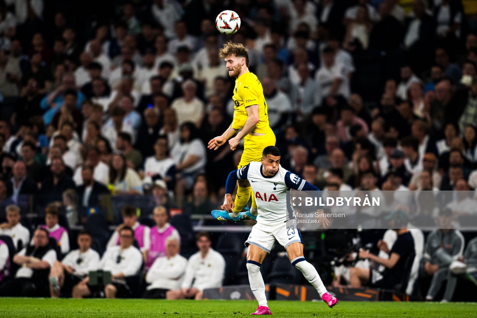 Ole Didrik Blomberg of Bodø/Glimt and Pedro Porro of Tottenham during the UEFA Europa League semi-final football match between Tottenham and Bodø/Glimt on May 1, 2025 in London.