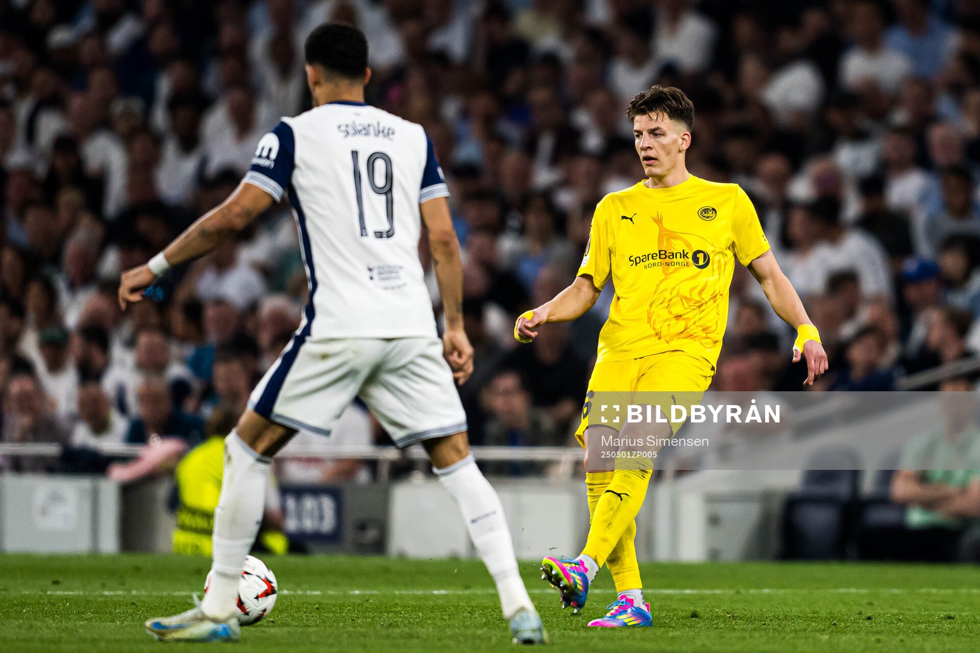 Jostein Gundersen of Bodø/Glimt