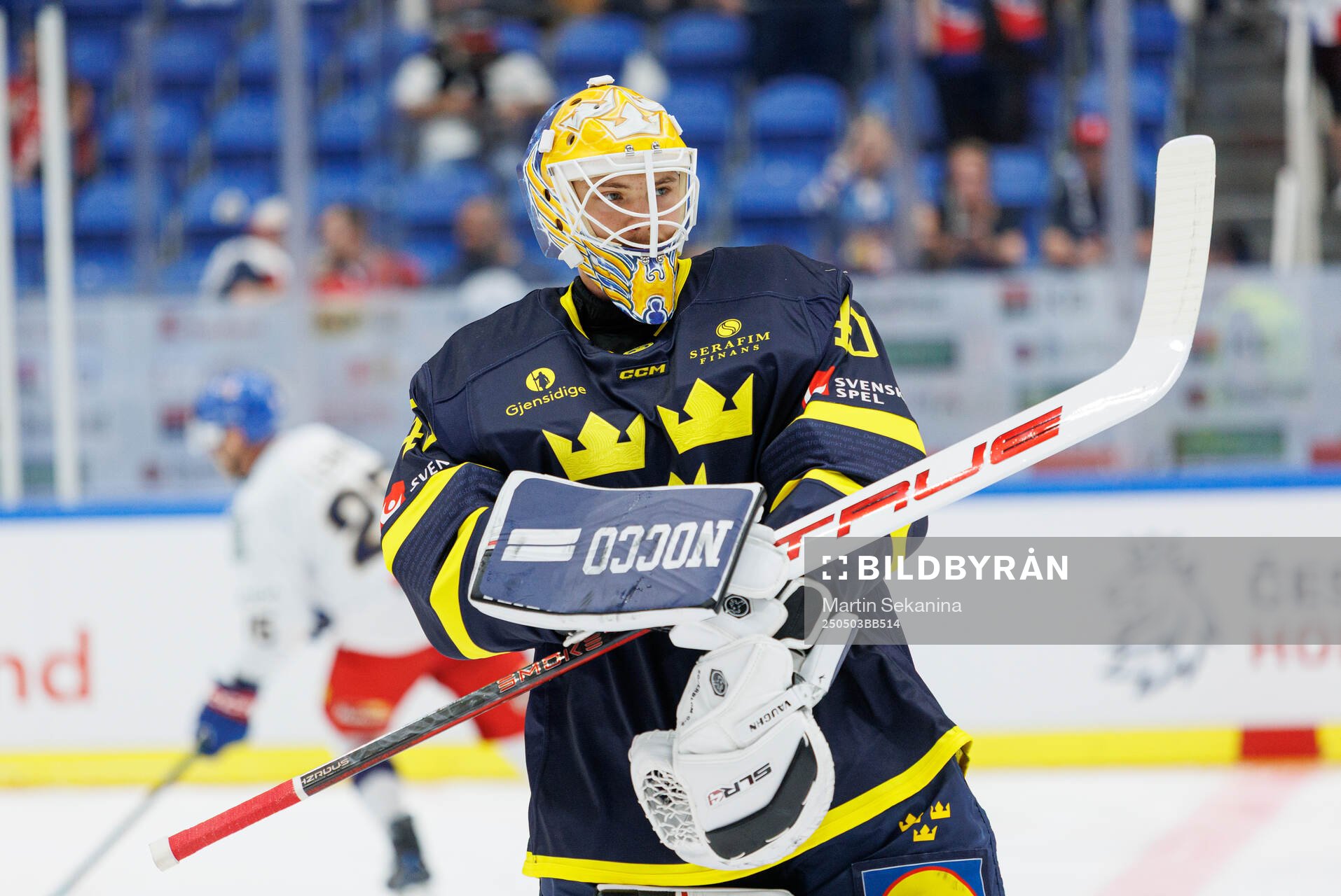 Goaltender Arvid Söderblom of Sweden