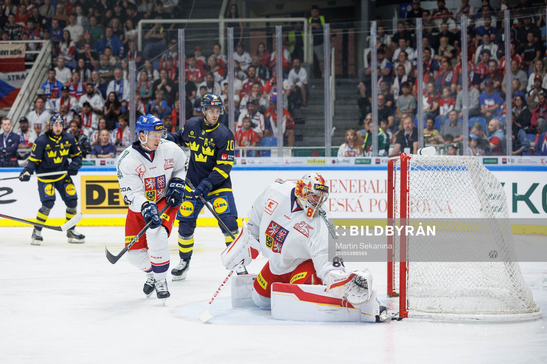 Goaltender Daniel Vladar of Czech Republic