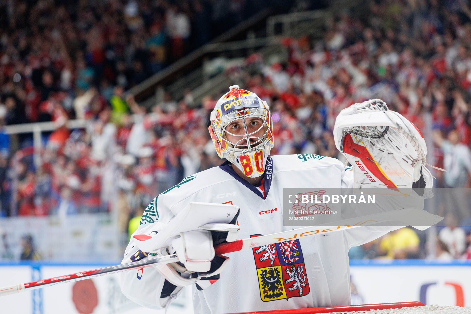 Goaltender Daniel Vladar of Czech Republic