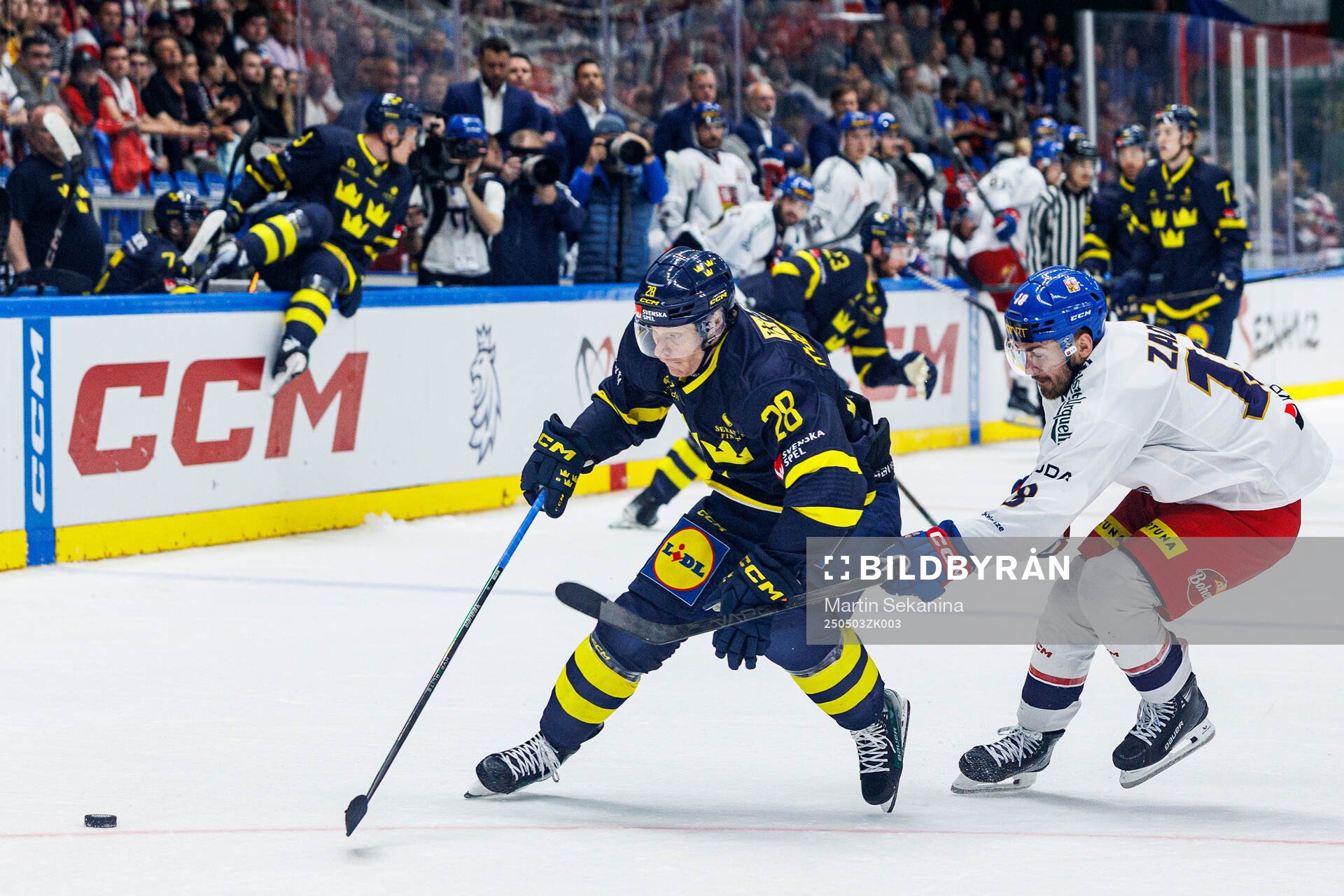 Anton Bengtsson of Sweden and Filip Zadina of Czech Republic