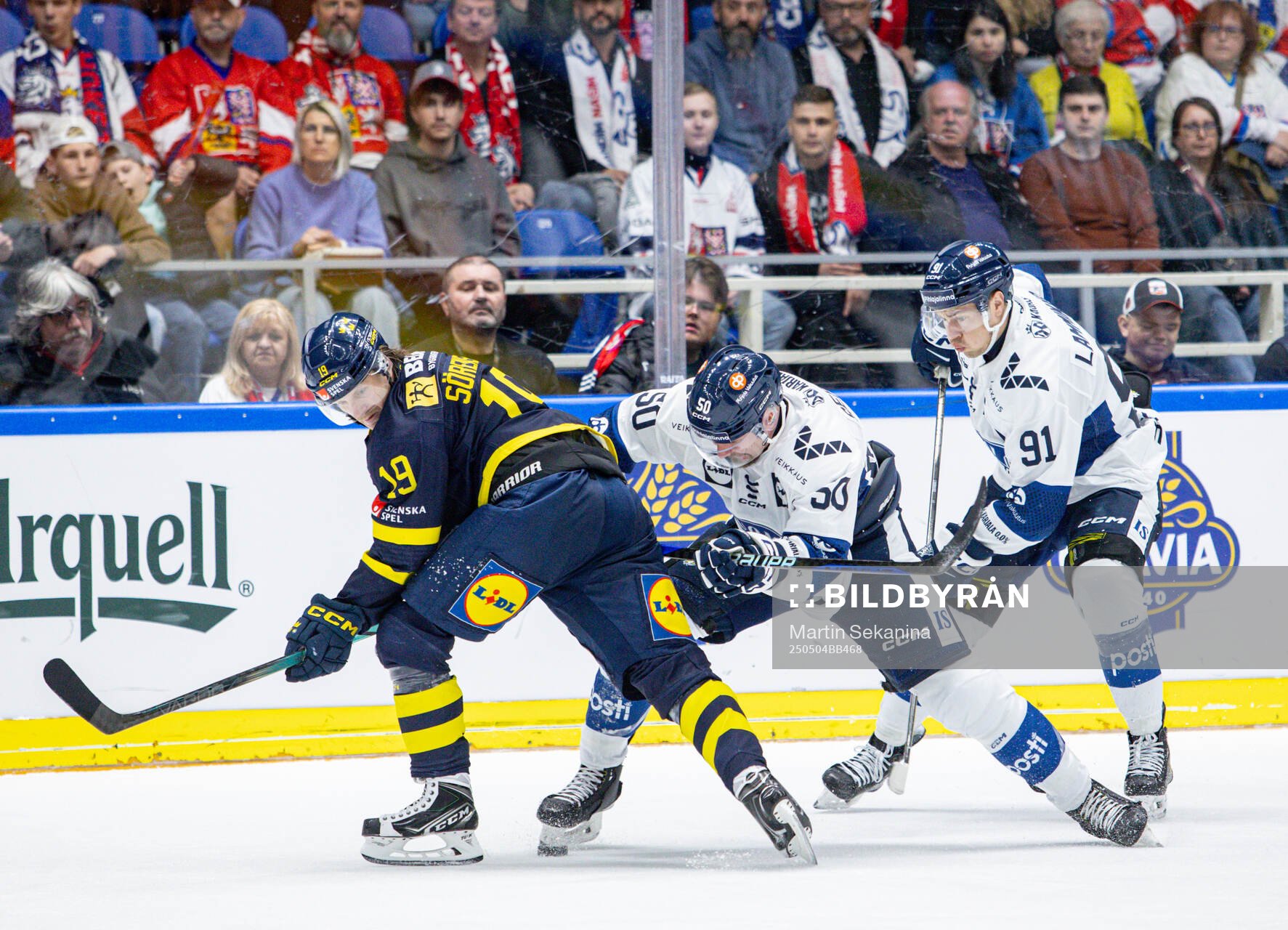 Marcus Sörensen of Sweden and Mikael Seppälä of Finland