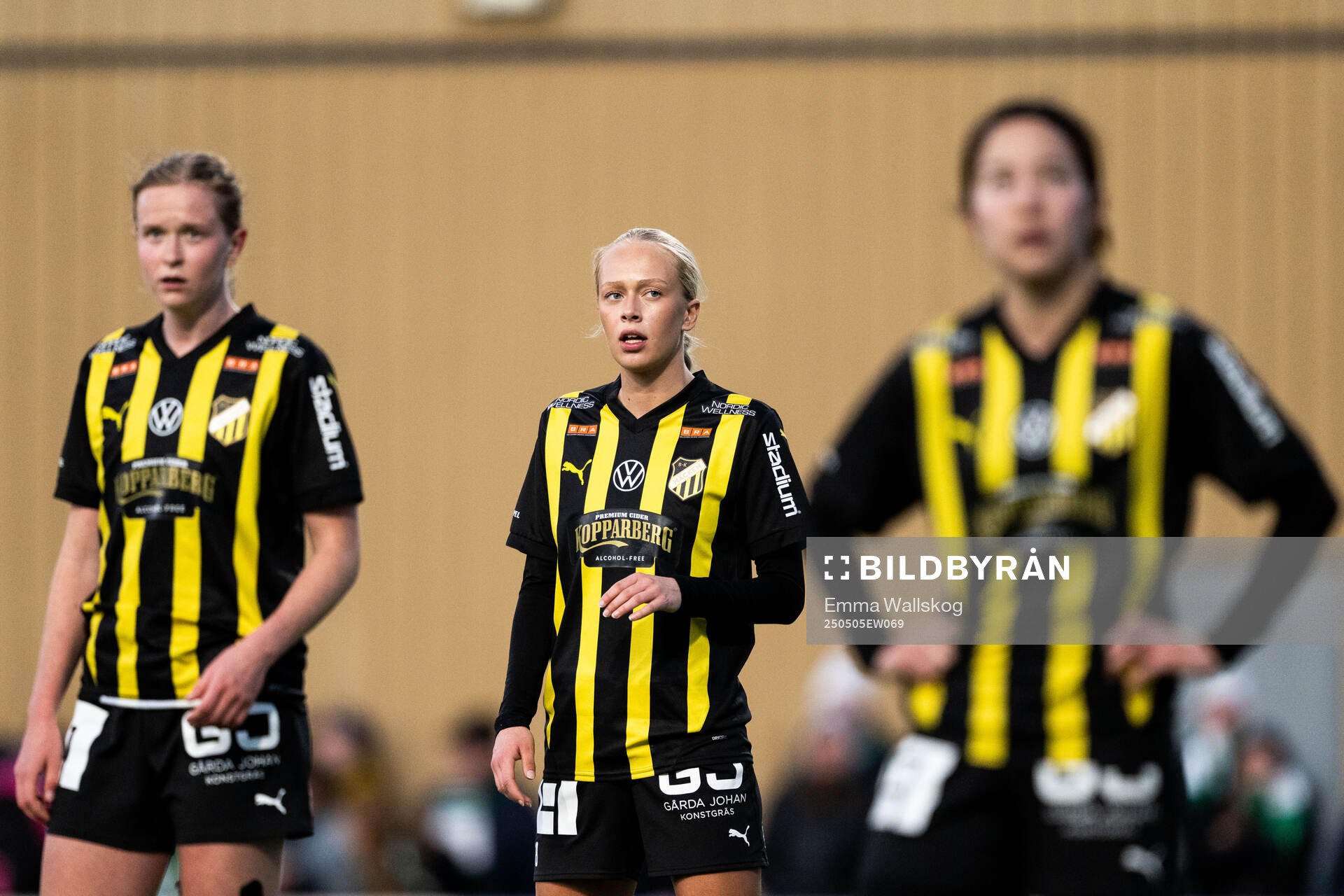 Häckens Lisa Löwing