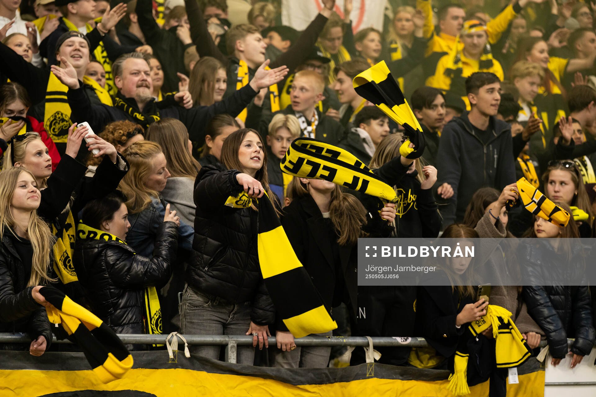 Elfsborgs supportrar jublar på läktaren