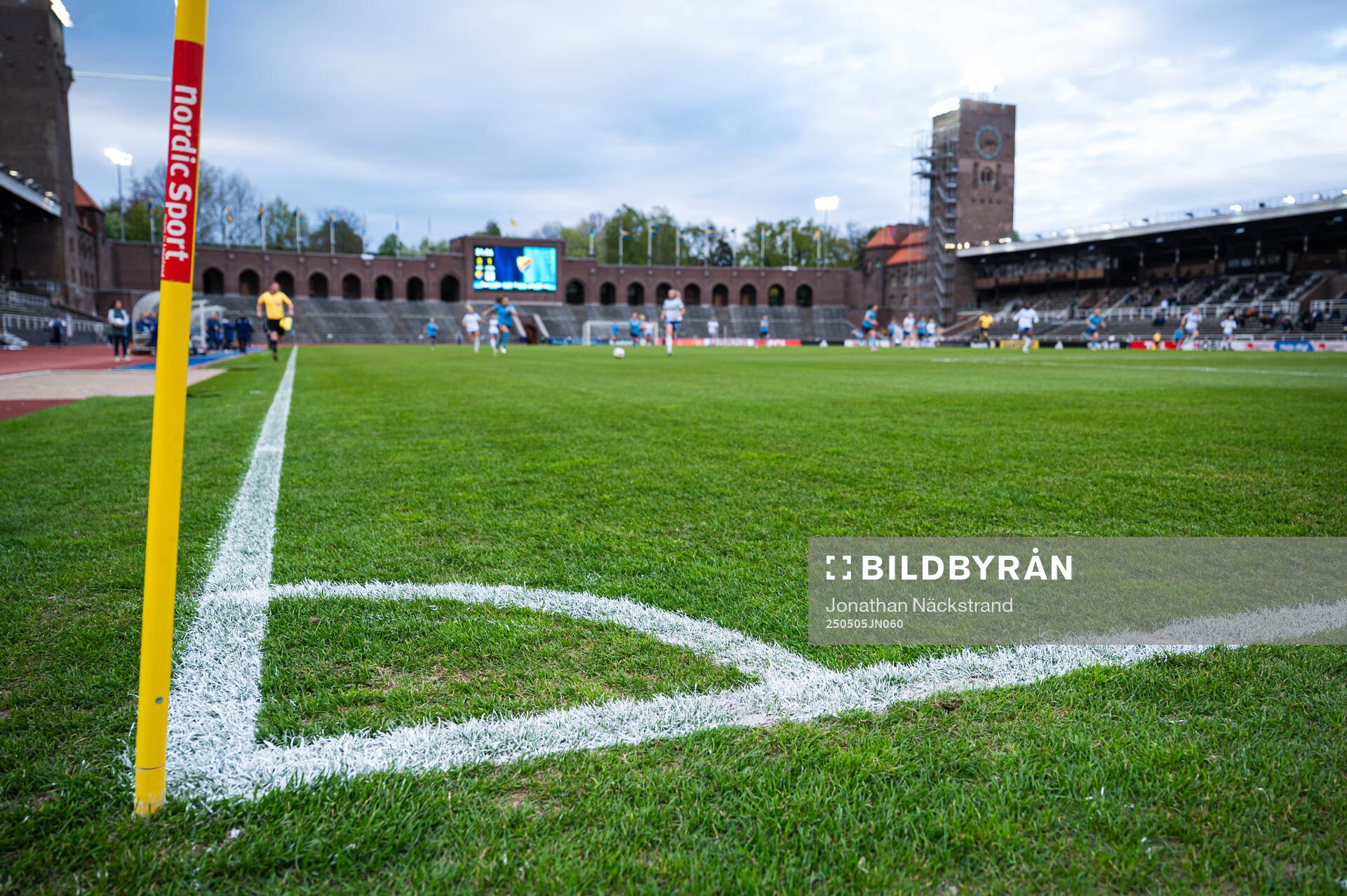 Gräset på Stockholm Stadion