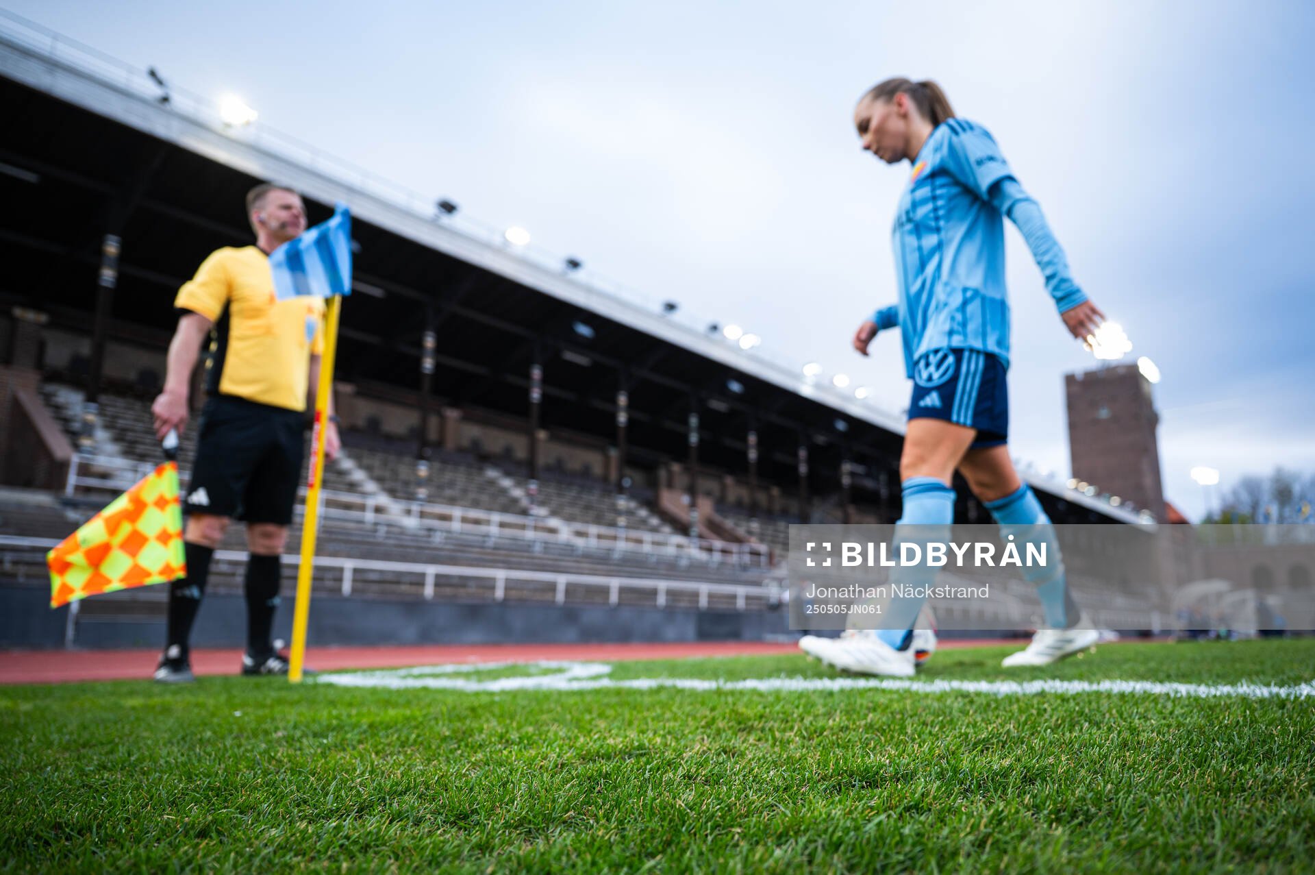 Gräset på Stockholm Stadion