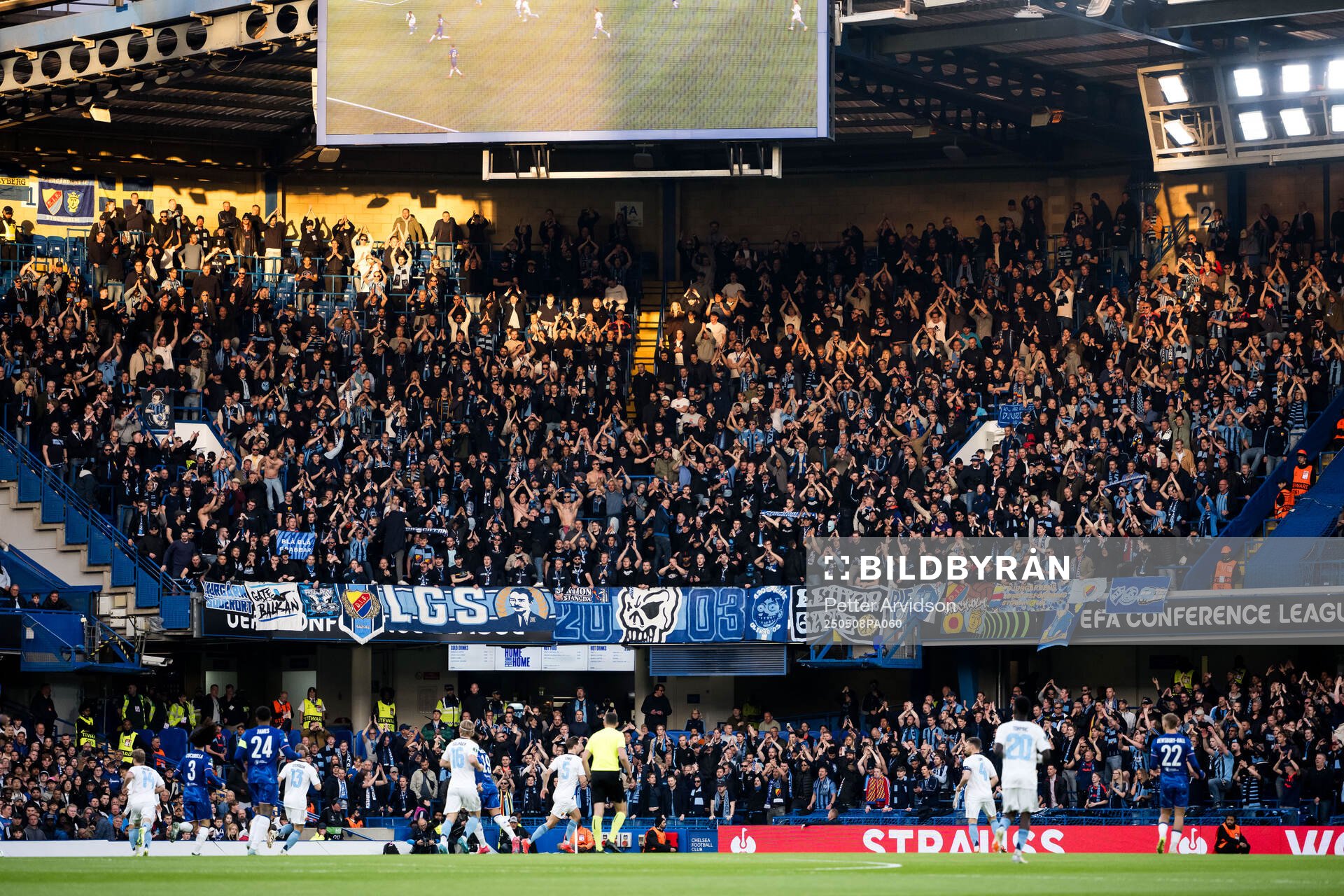 Fans of Djurgården