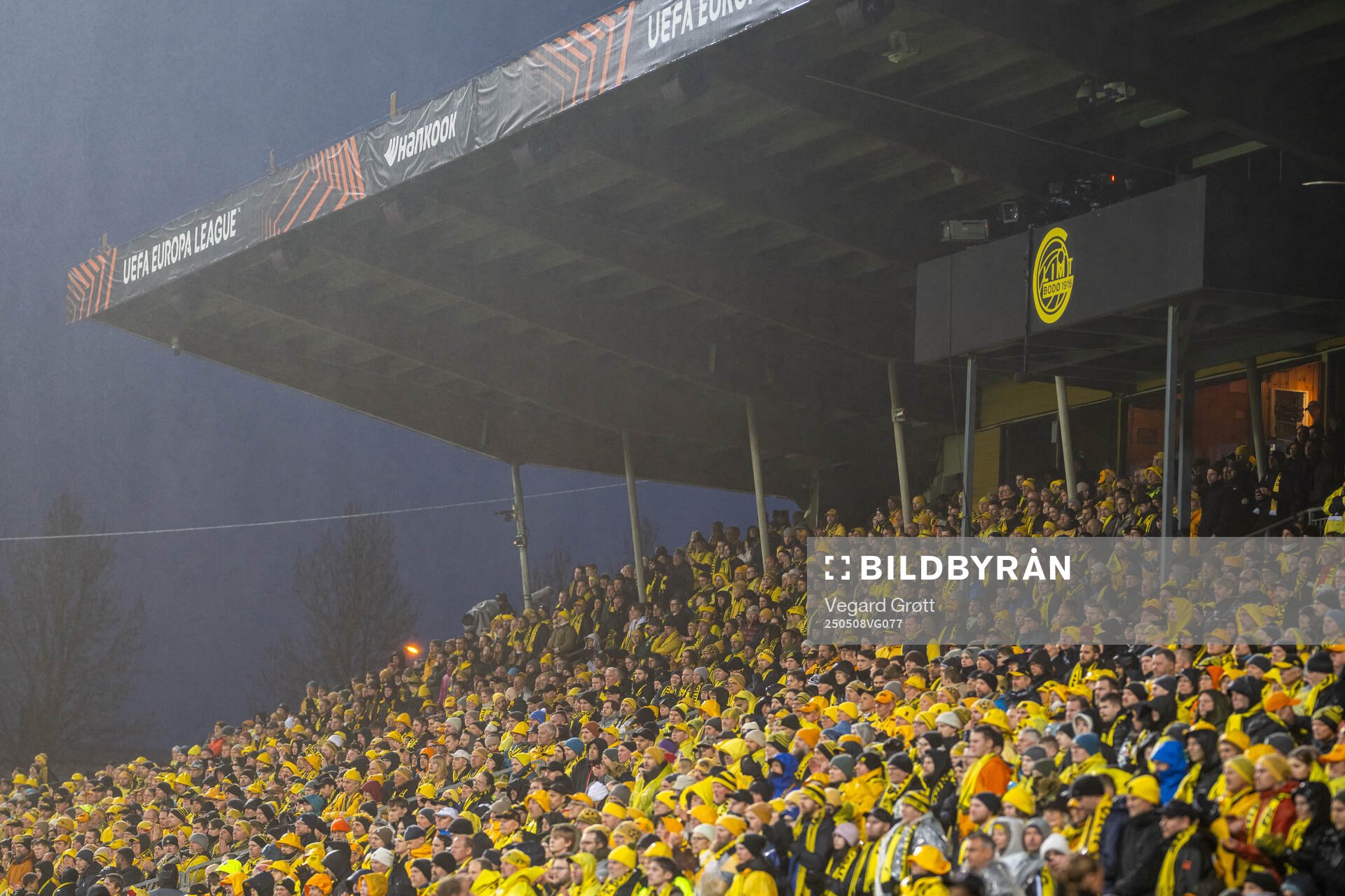 Fans in the stands
