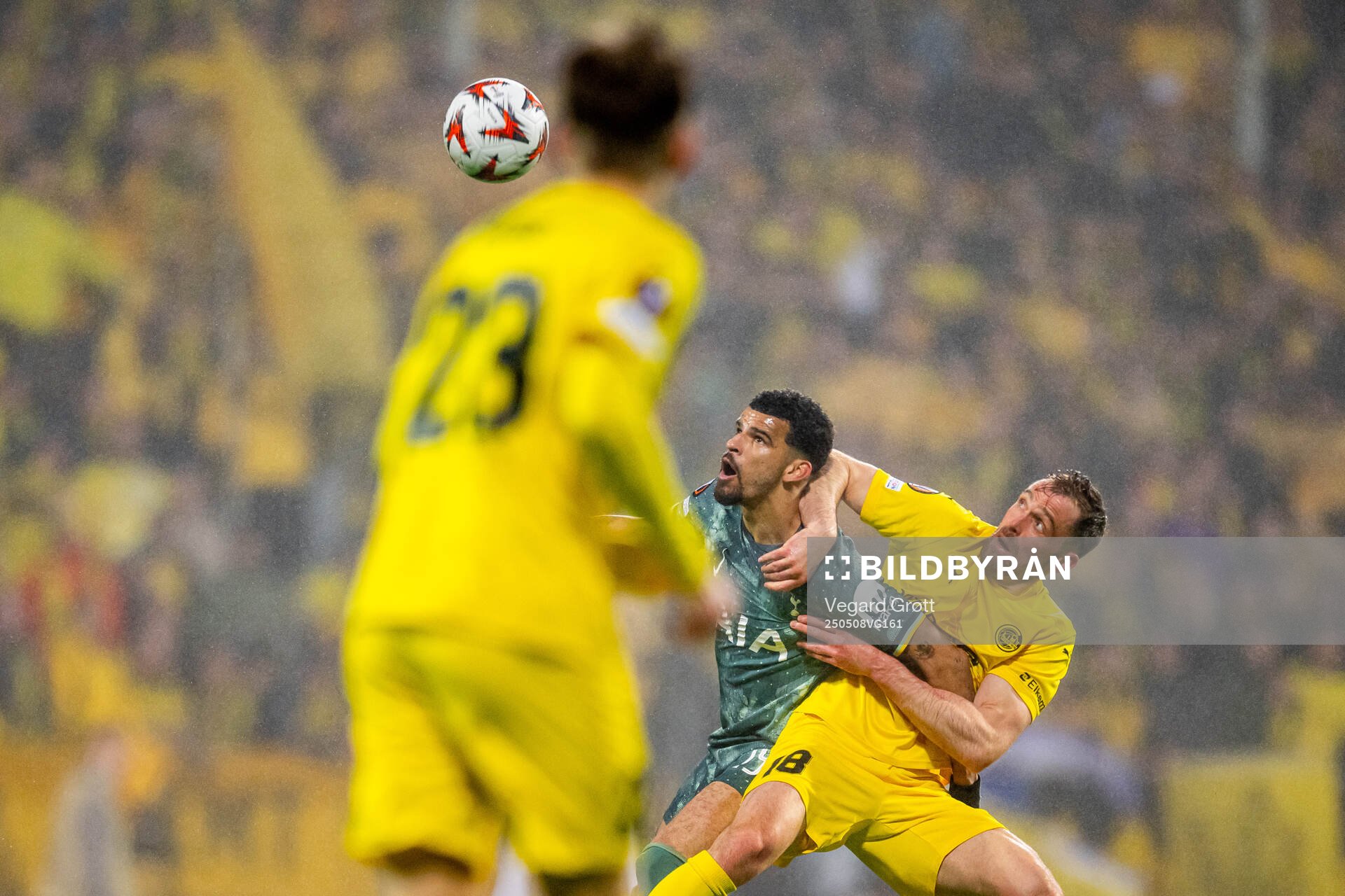Dominic Solanke of Tottenham Hotspur and Brede Moe of