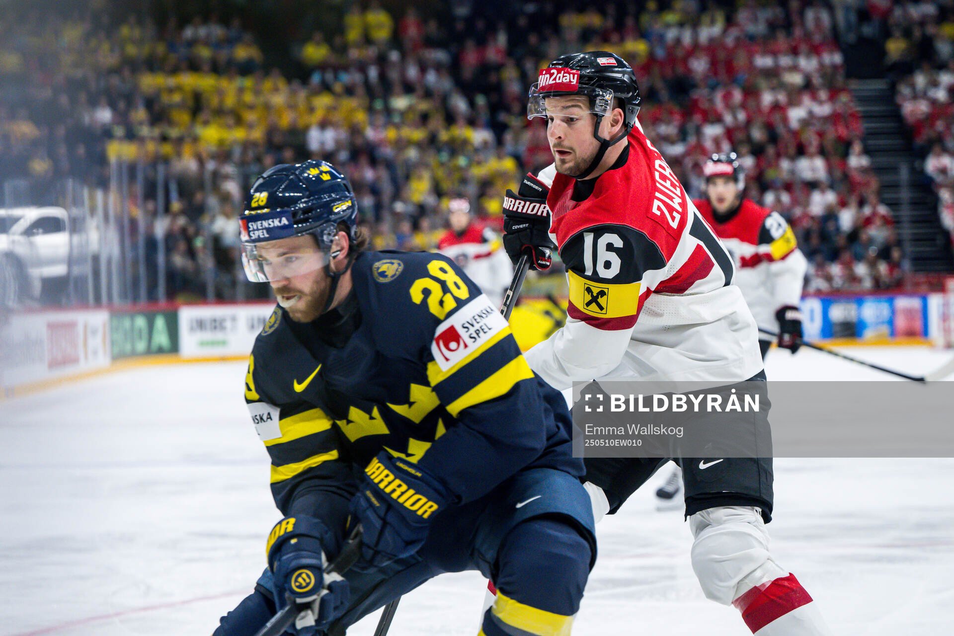 Elias Lindholm of Sweden and Dominic Zwerger of Austria