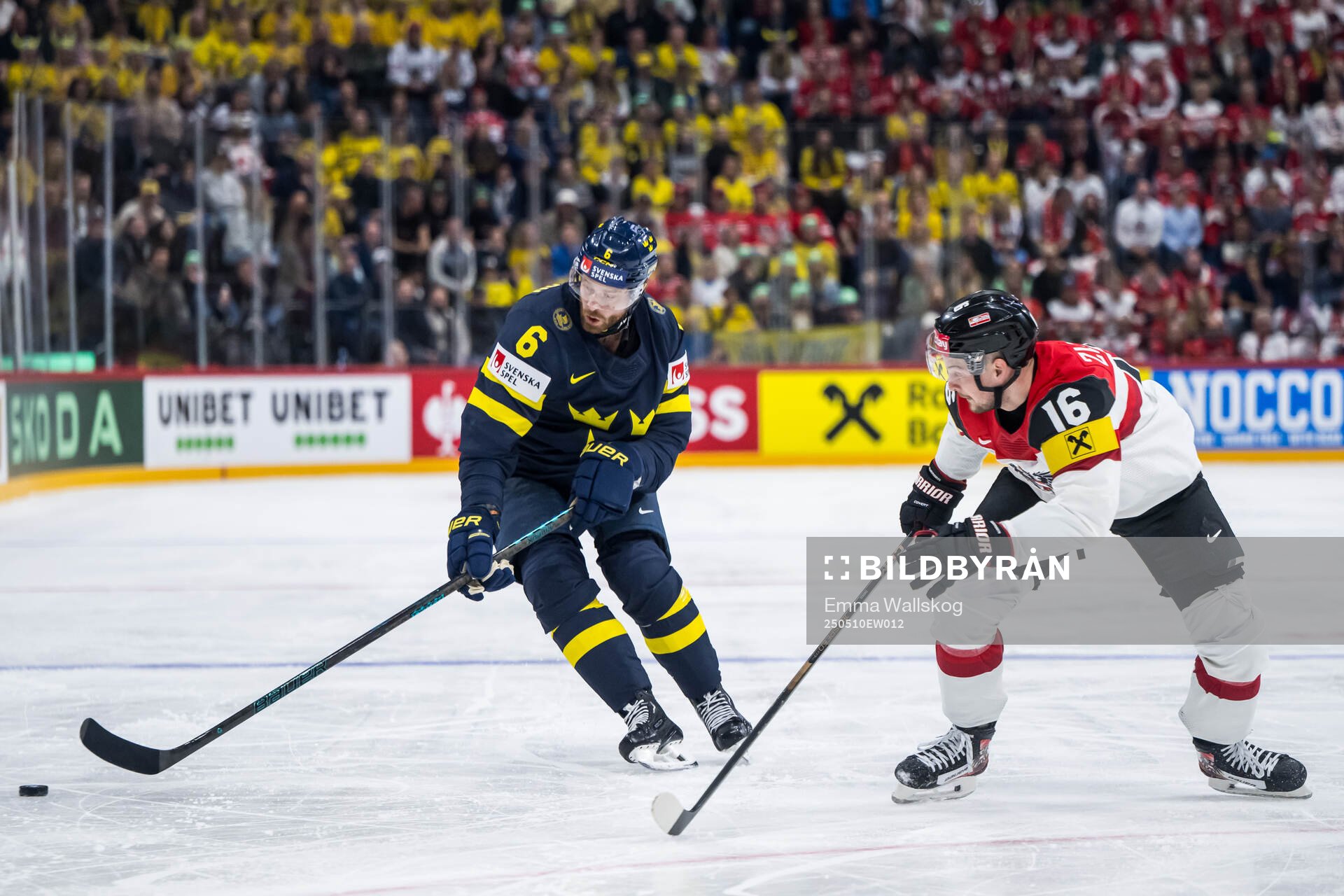 Adam Larsson of Sweden and Dominic Zwerger of Austria