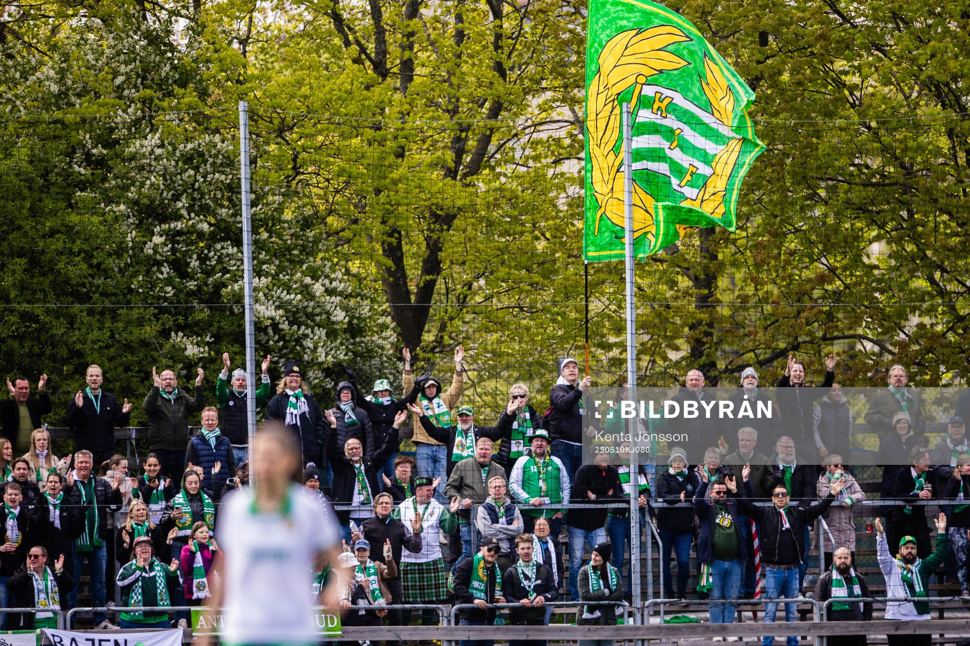 Hammarbys supportrar