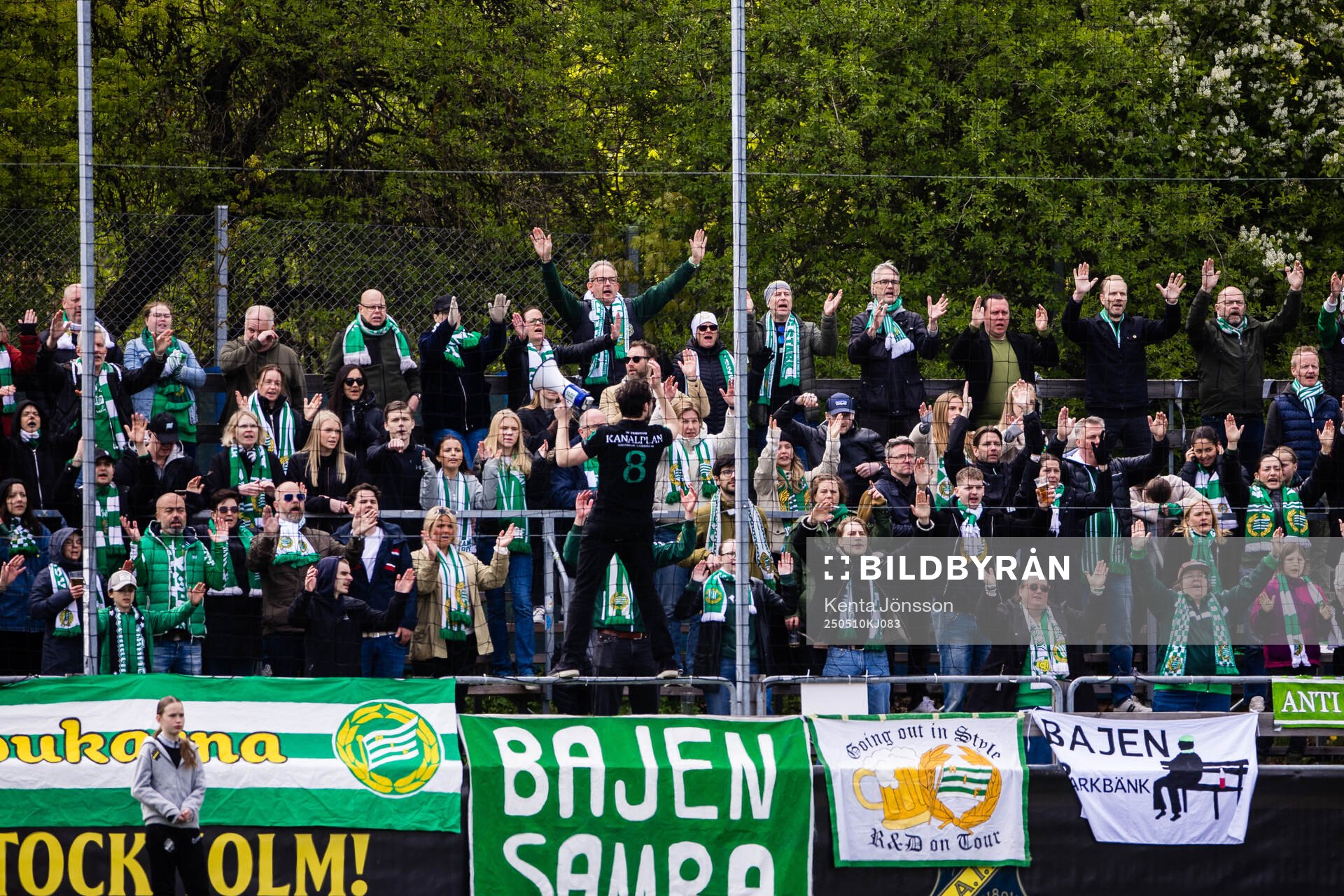 Hammarbys supportrar