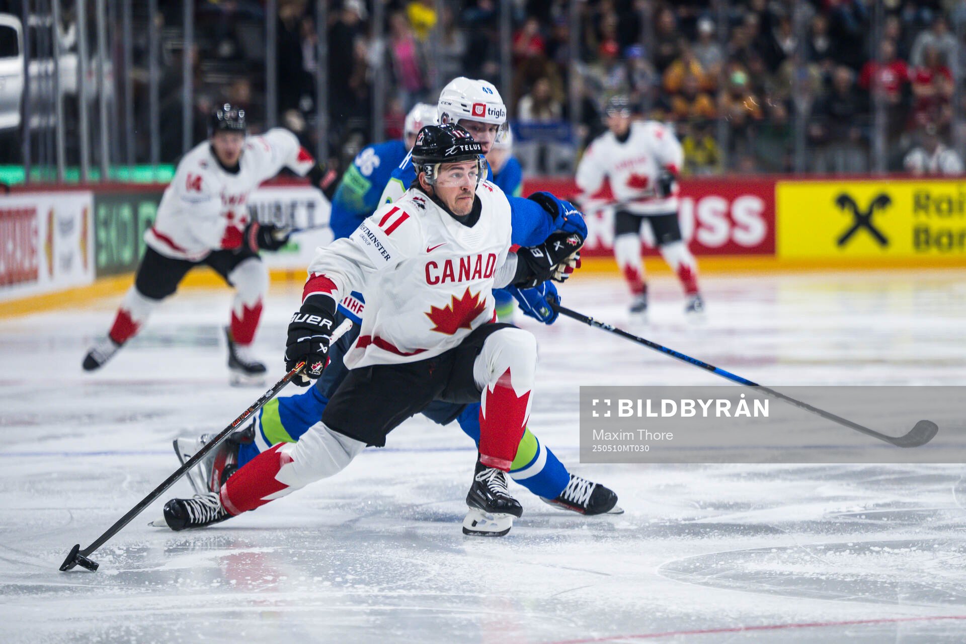 Travis Konecny of Canada