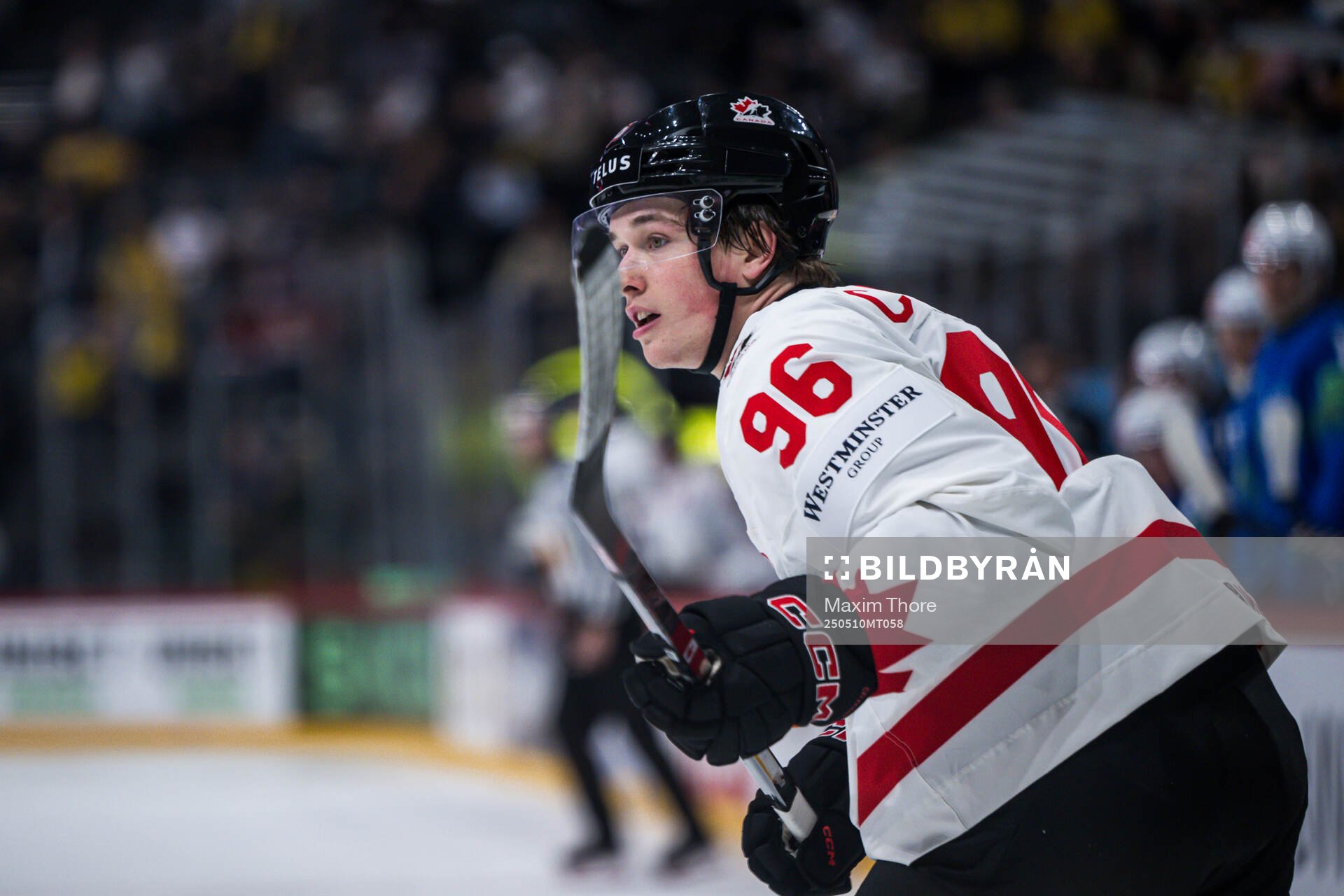 Macklin Celebrini of Canada