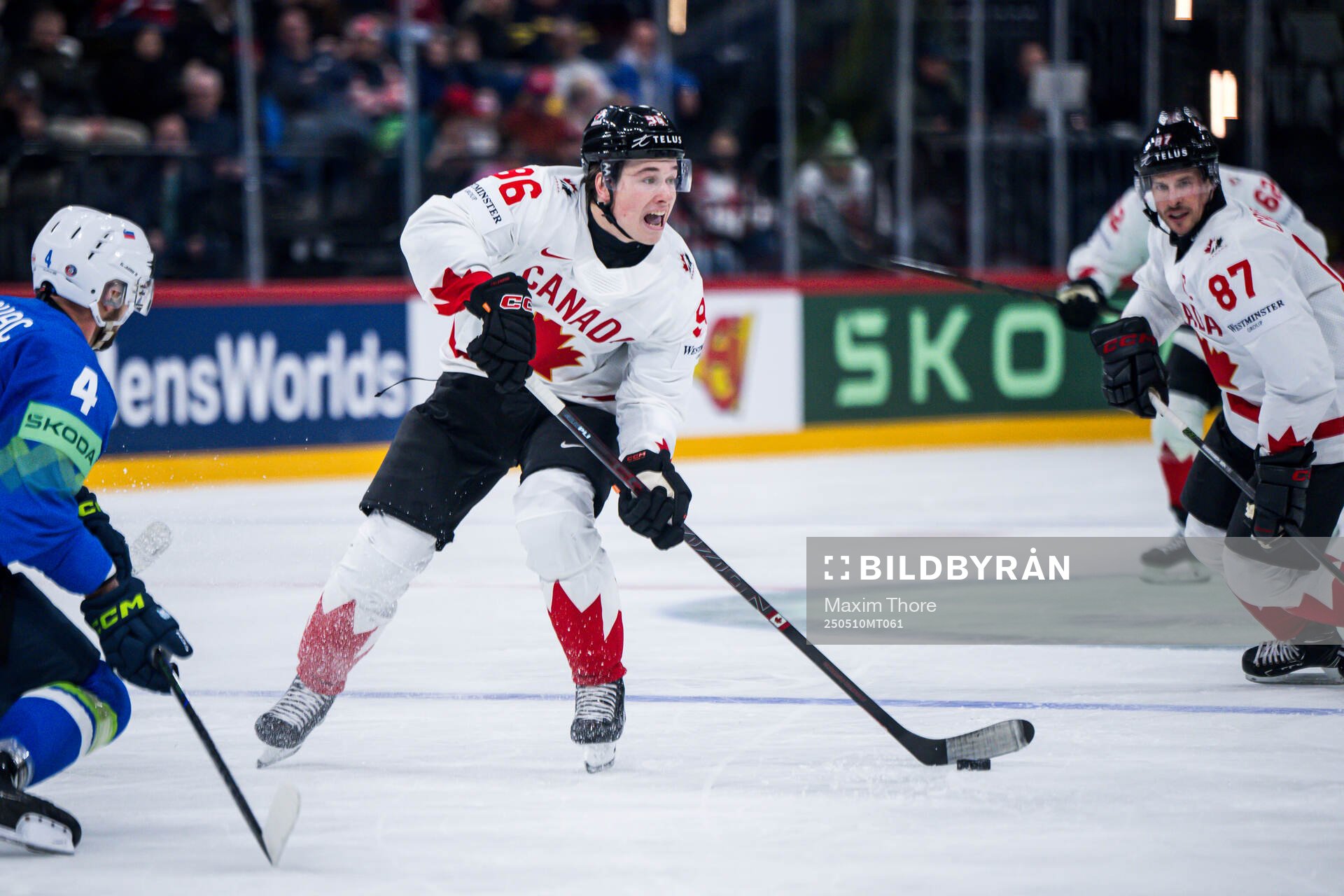 Macklin Celebrini of Canada