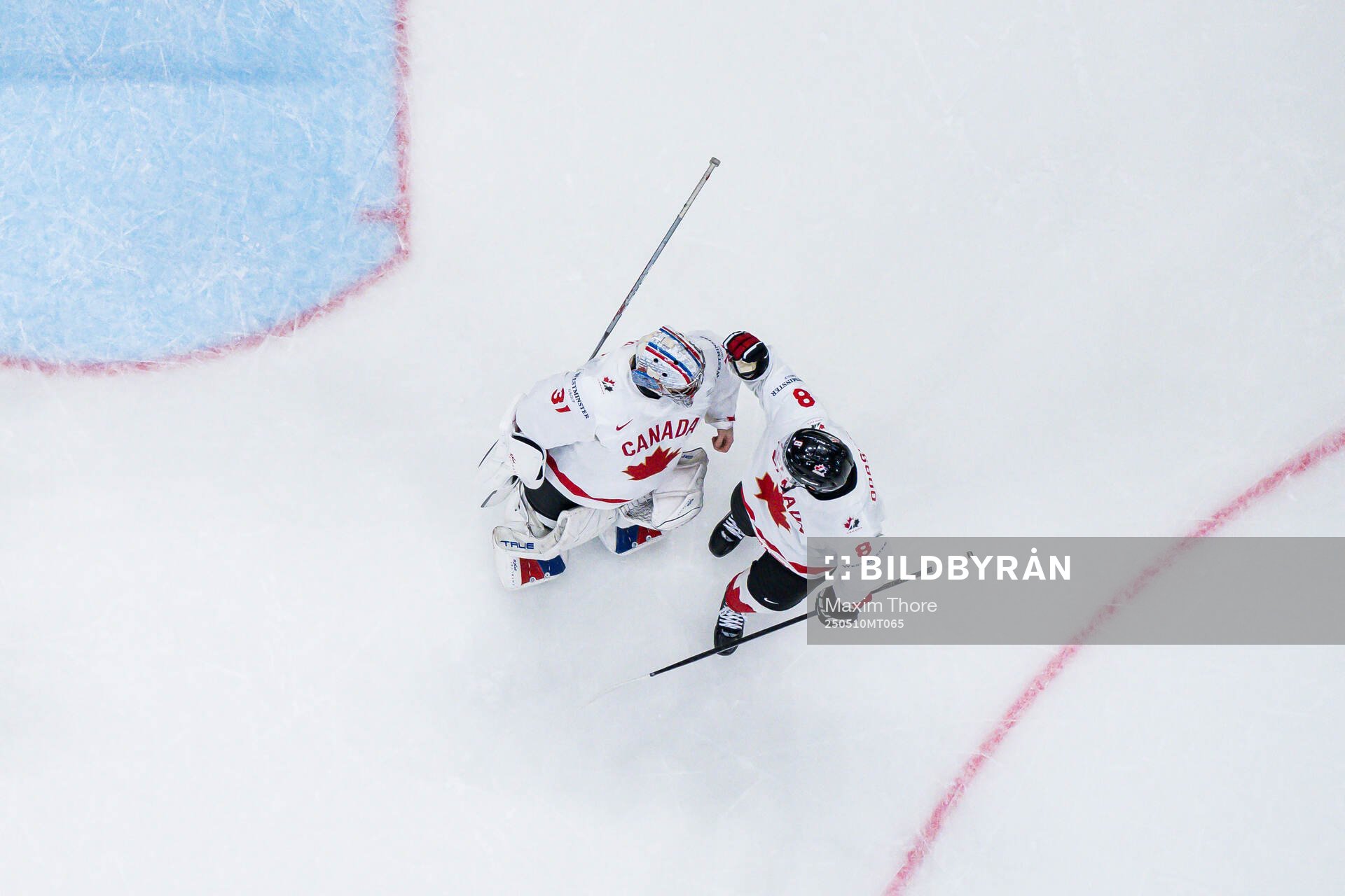 Goaltender Dylan Garand and Noah Dobson celebrate