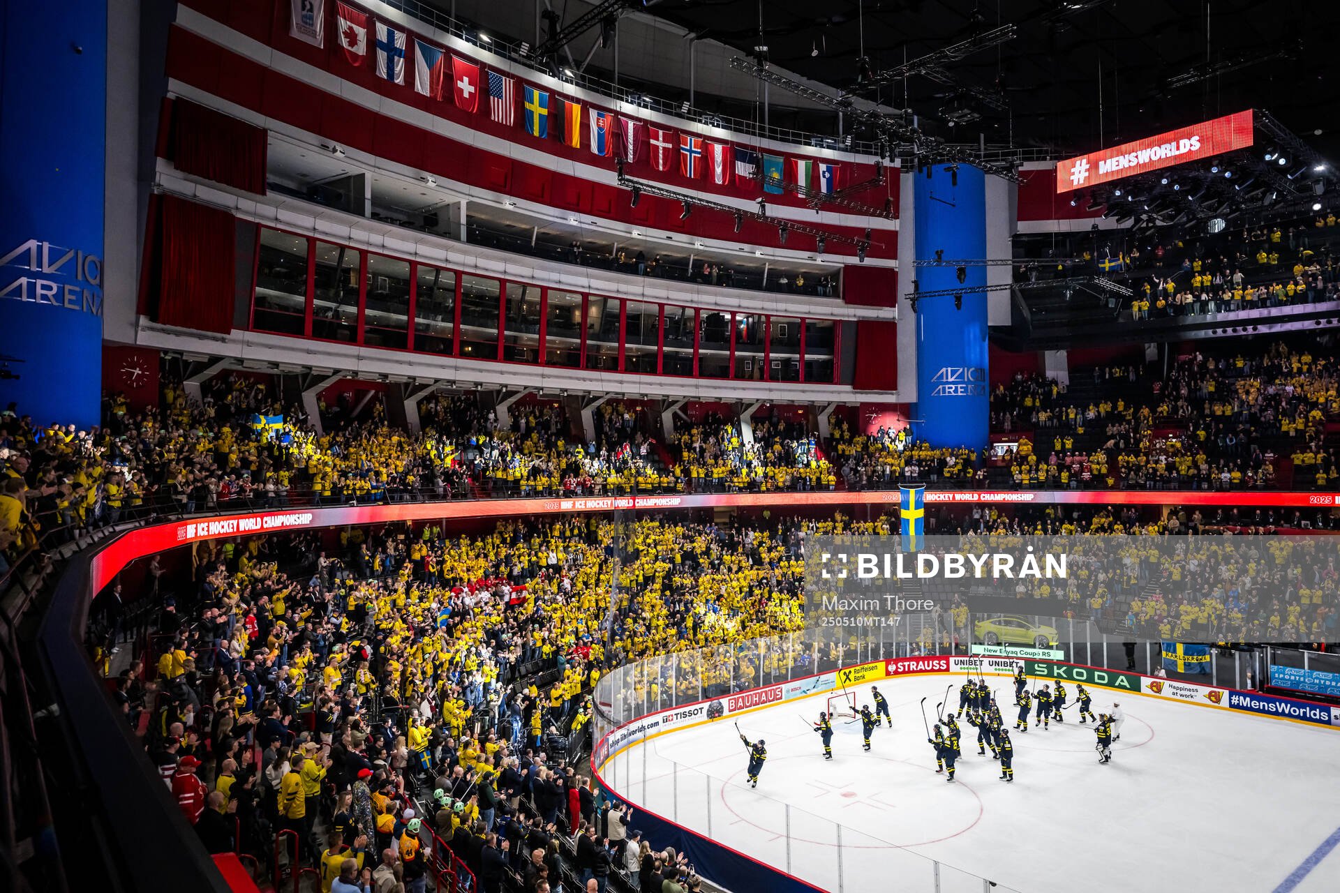 The Swedish players celebrate with the fans