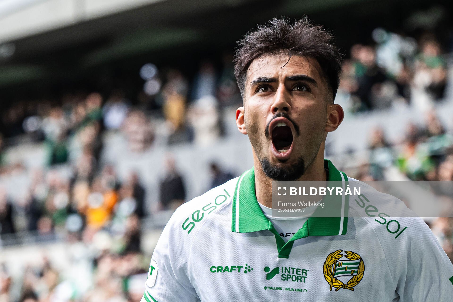 Hammarbys Montader Madjed jublar