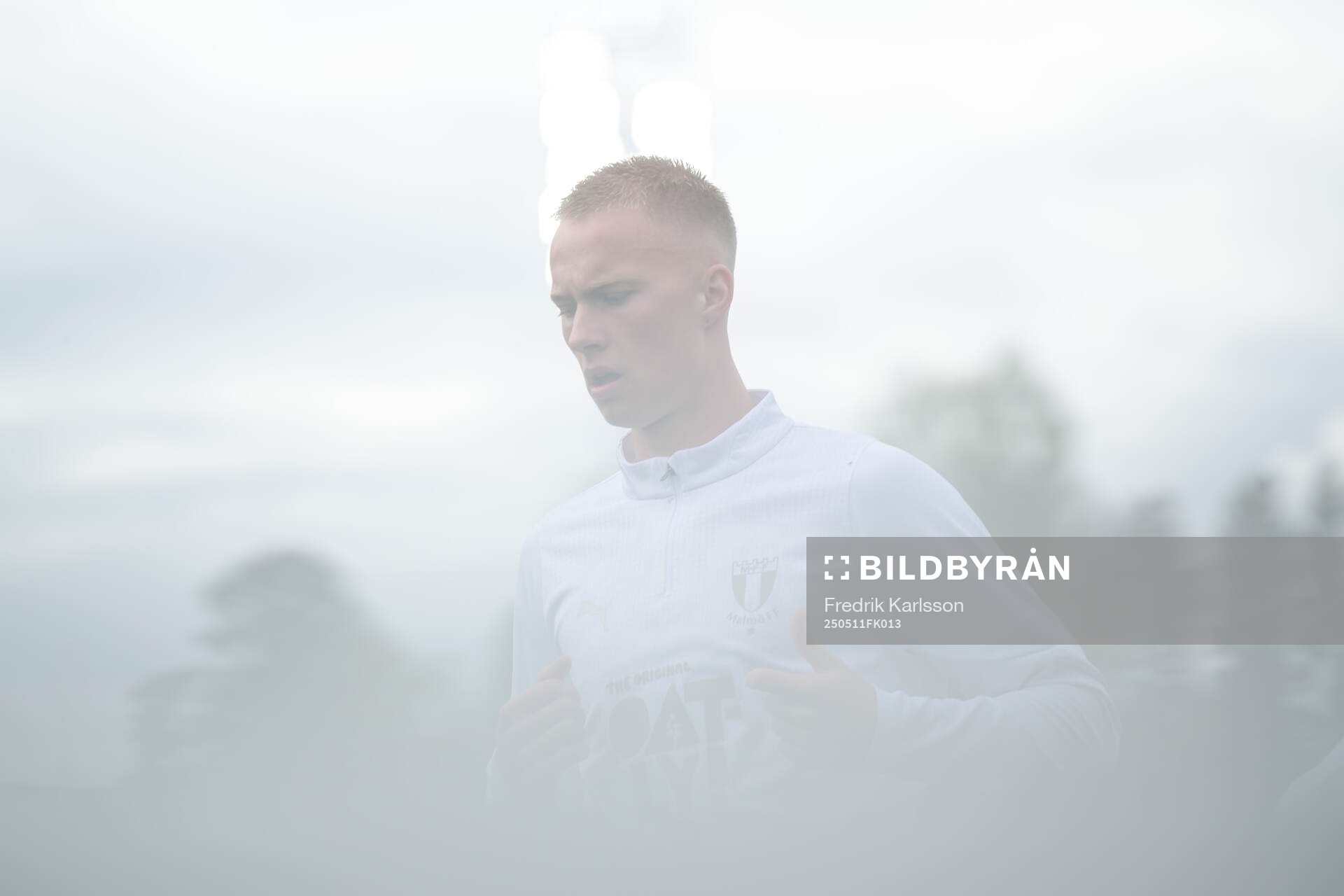 Malmö FFs Daniel Gudjohnsen
