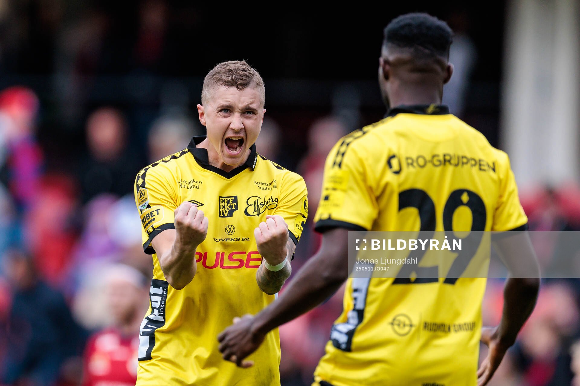  Elfsborgs Sebastian Holmen jublar efter fotbollsmatchen i Allsvenskan mellan Öster och Elfsborg den 11 maj 2025 i Växjö. 