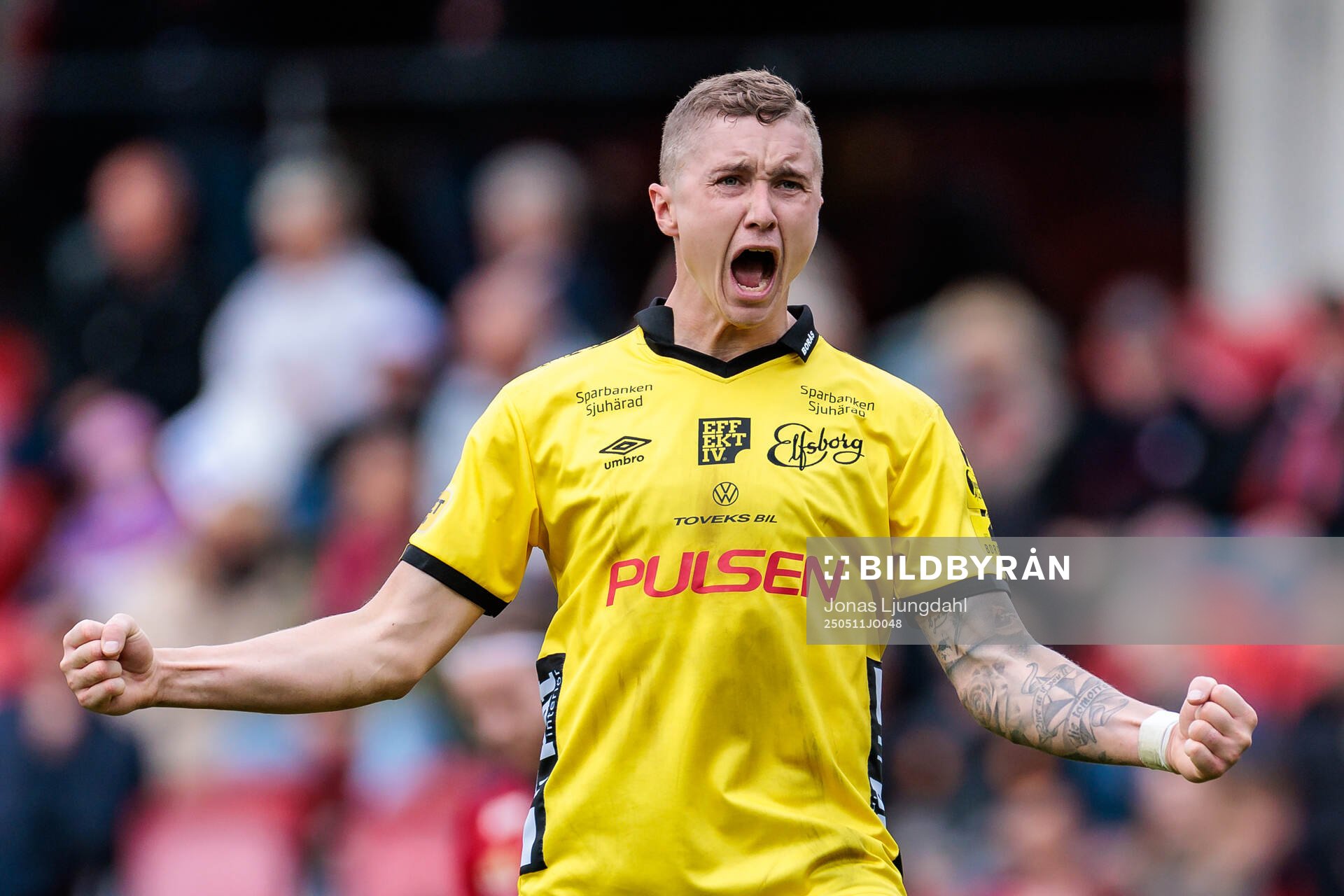 Elfsborgs Sebastian Holmen jublar efter fotbollsmatchen i Allsvenskan mellan Öster och Elfsborg den 11 maj 2025 i Växjö. 