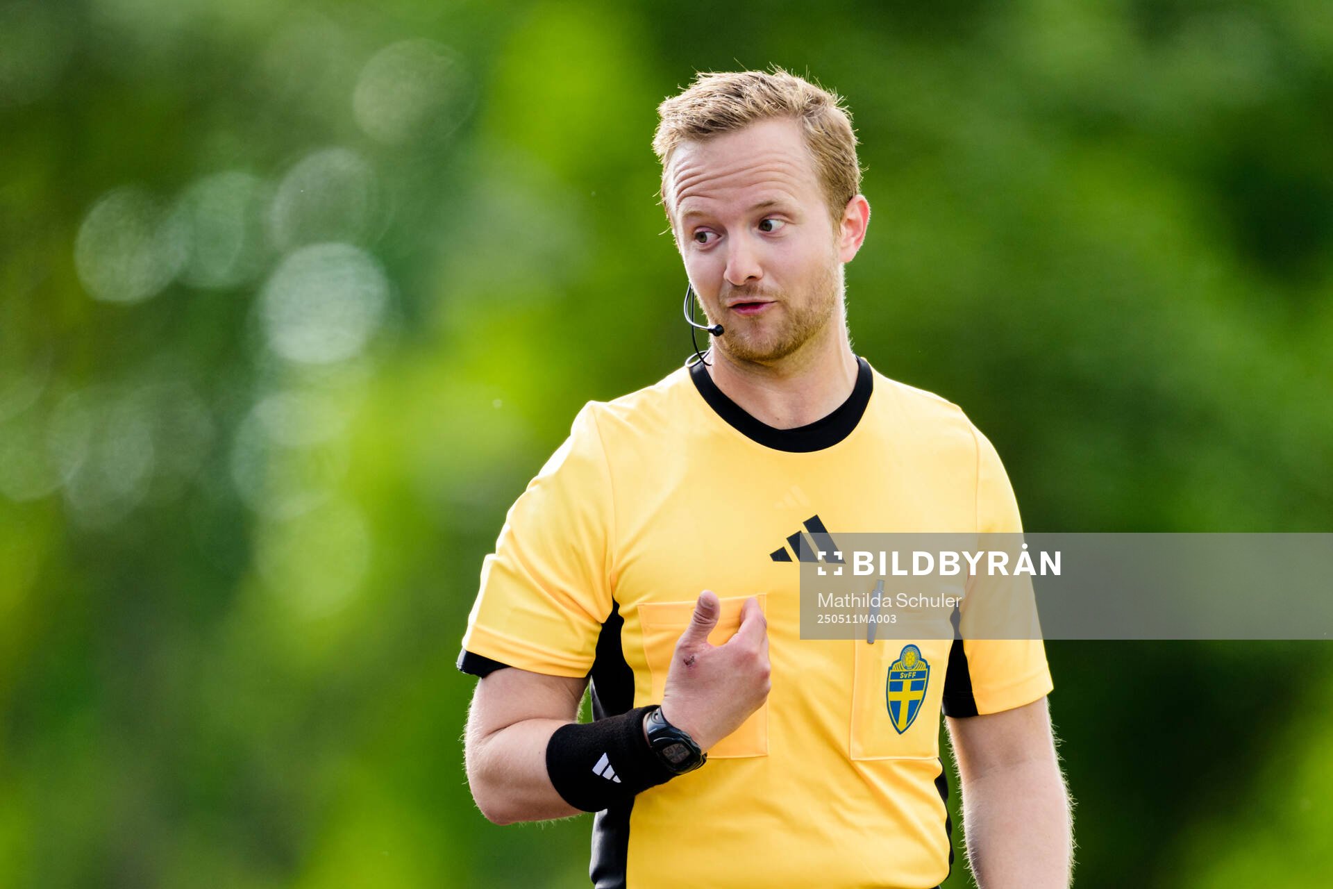 Assisterande domare Jesper Arnshed