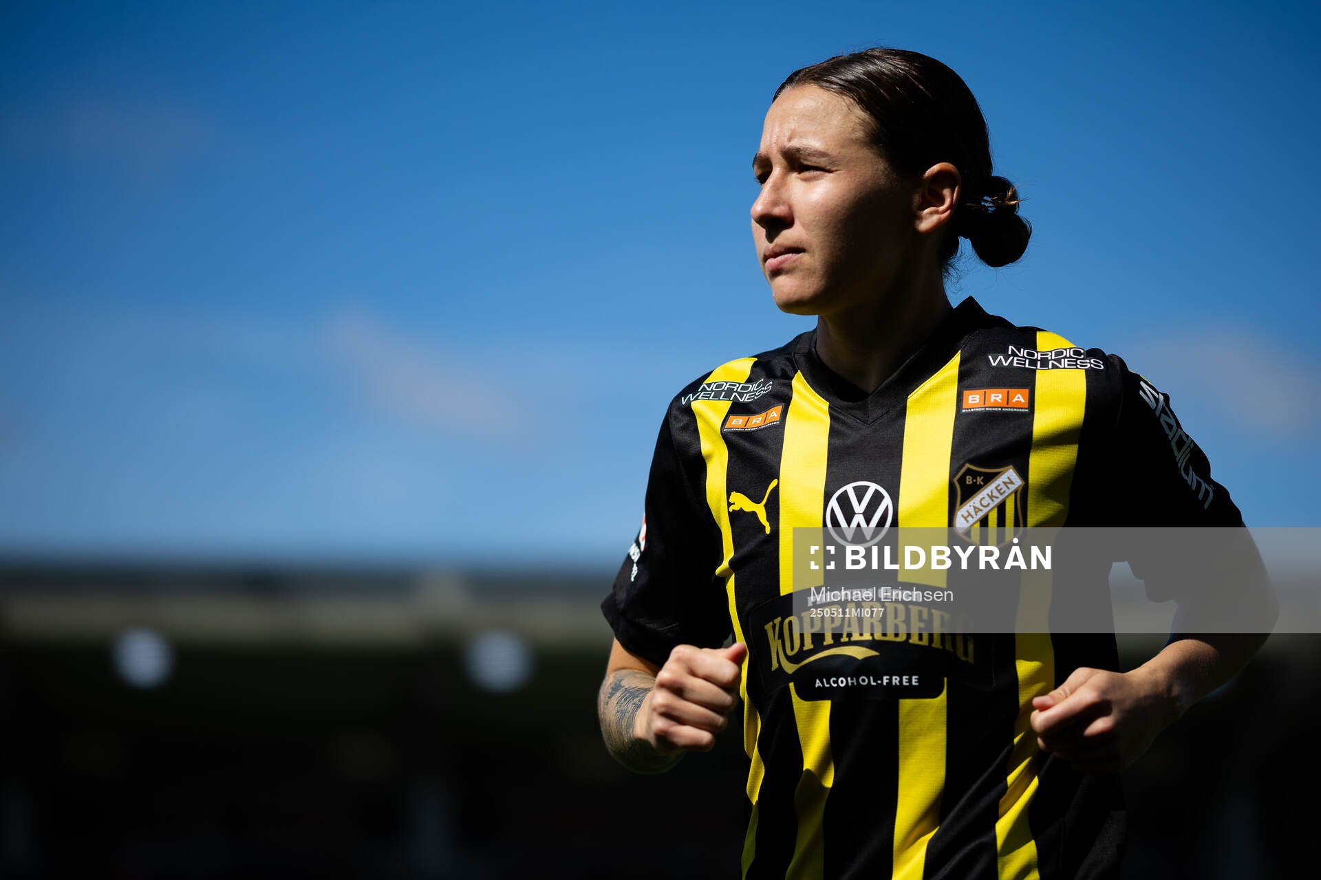 Häckens Tabby Tindell