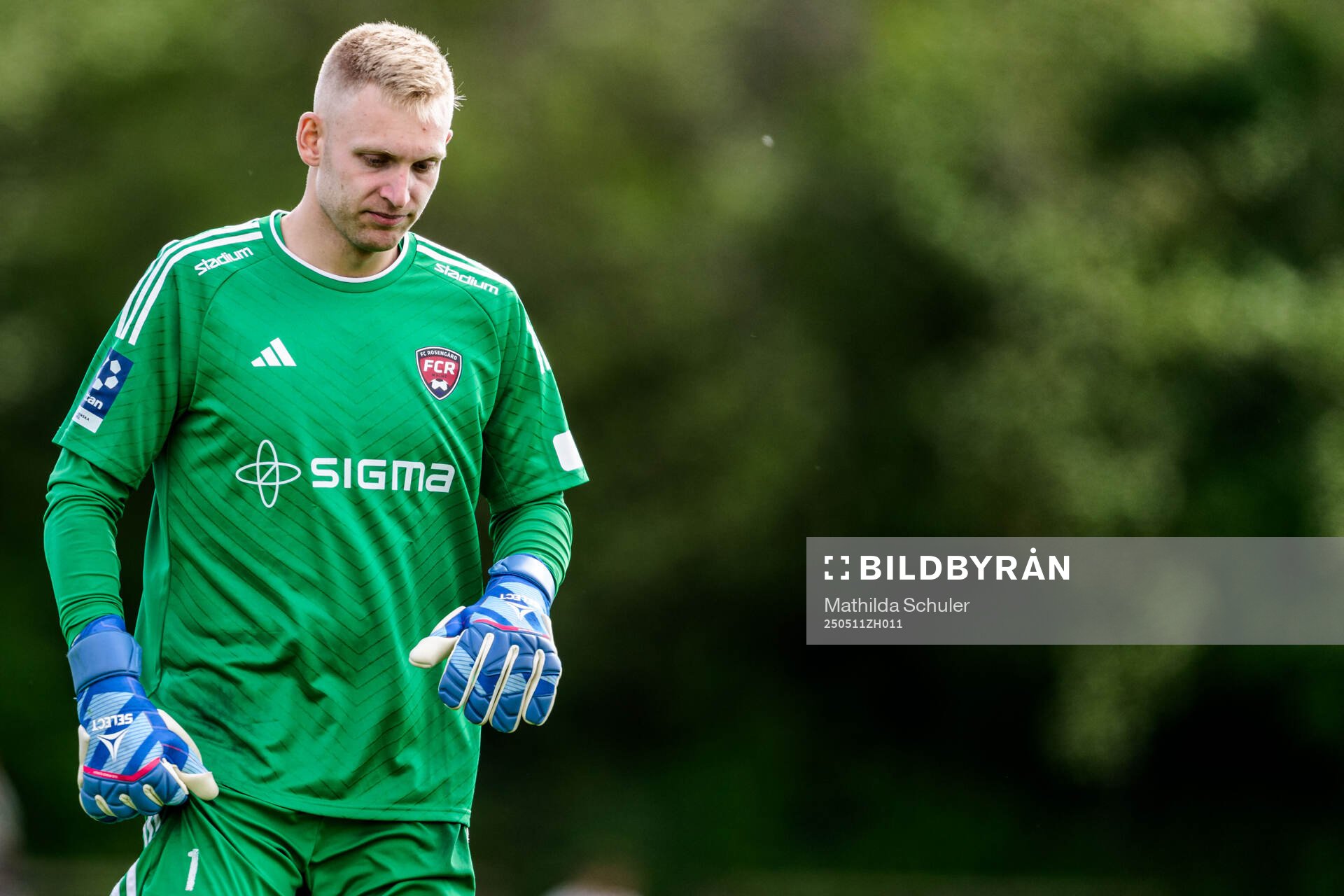 Rosengårds Ian Pettersson