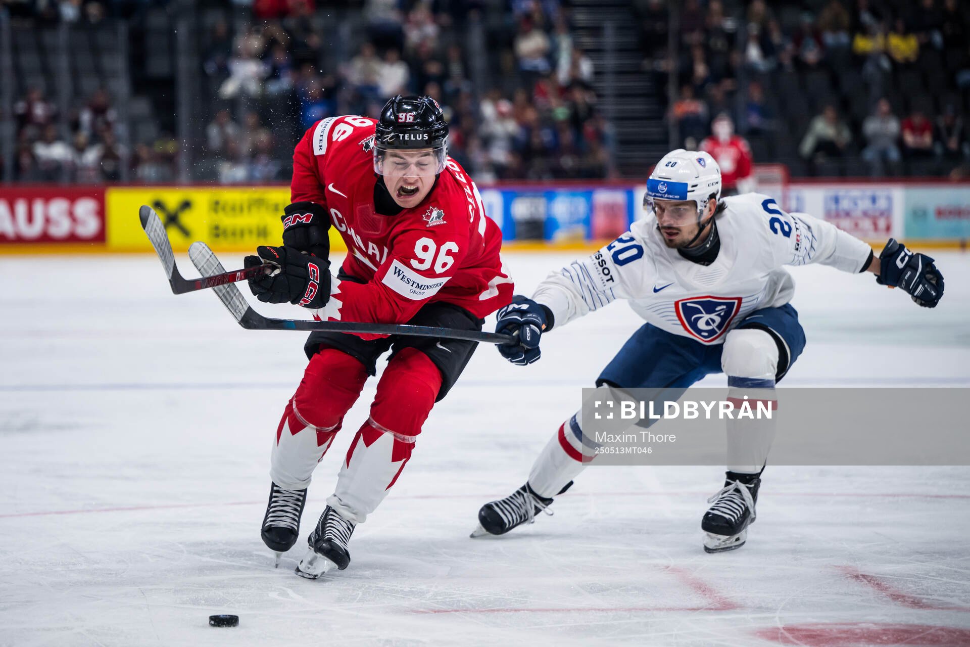 Macklin Celebrini of Canada and Fabien Colotti of France