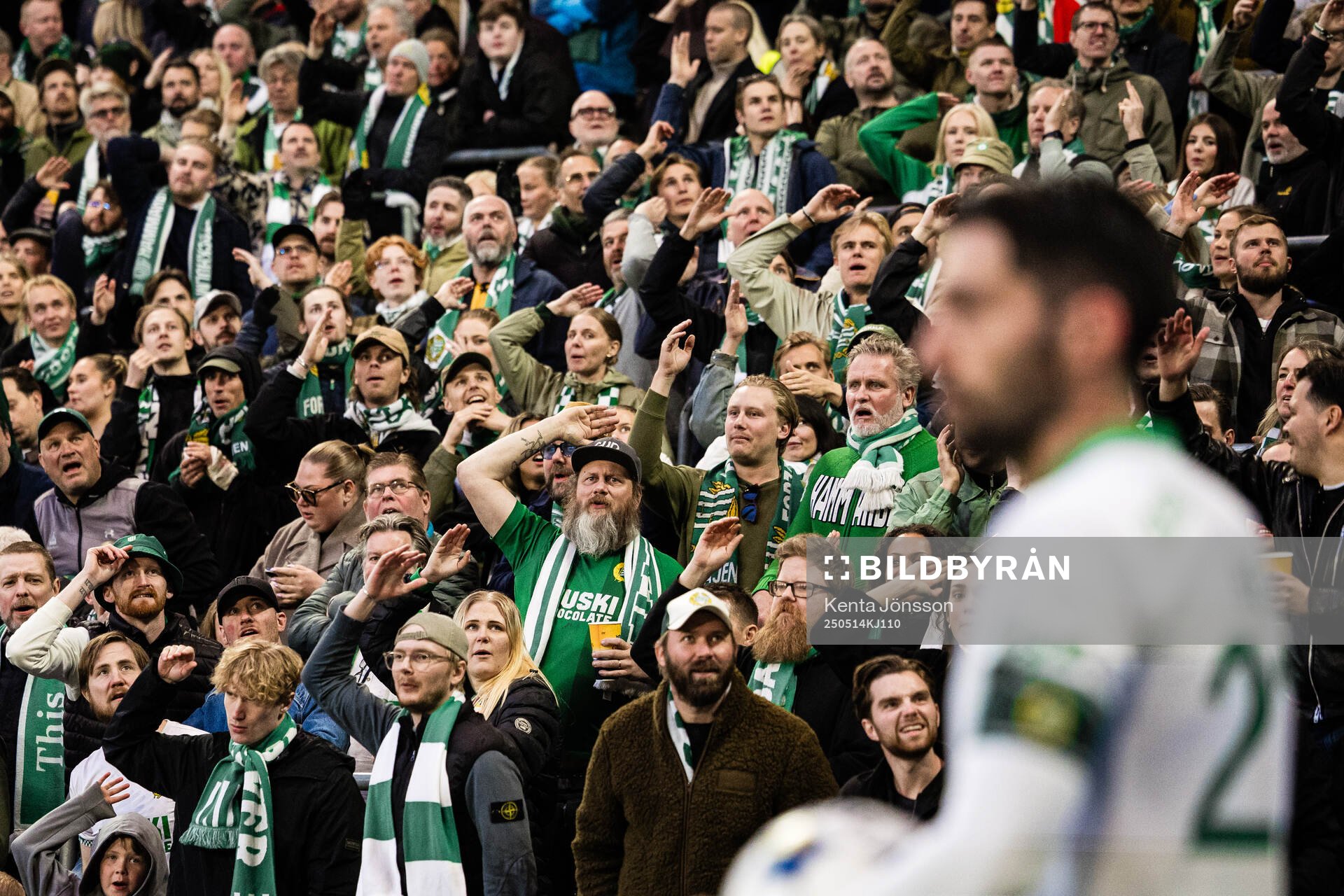 Hammarbys supportrar