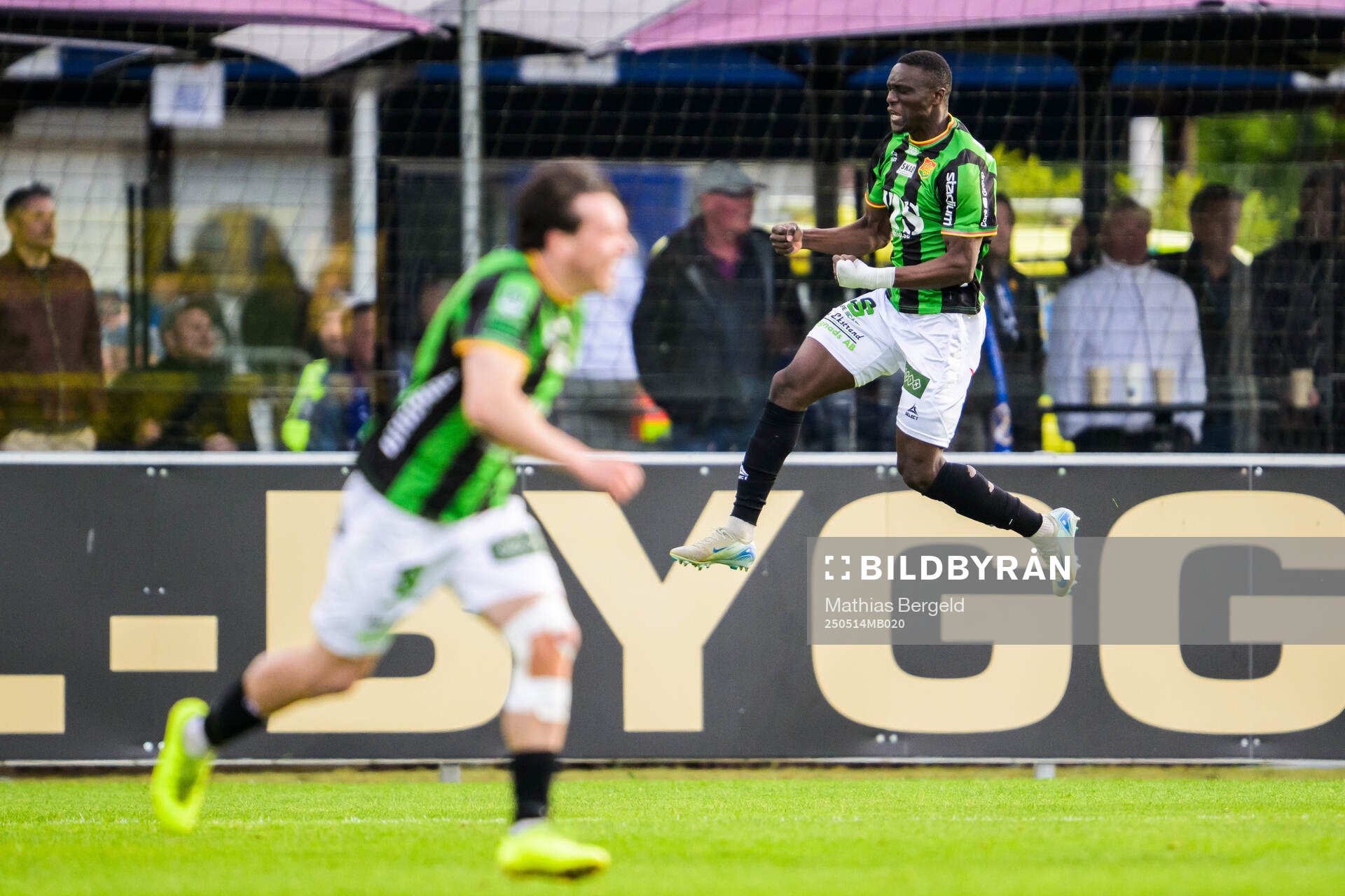 GAISs Ibrahim Diabate jublar efter 1-1 målet under fotbollsmatchen i Allsvenskan mellan Halmstad och GAIS den 14 maj 2025 i Halmstad. 