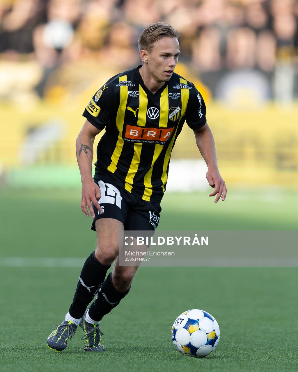 Häckens Pontus Dahbo