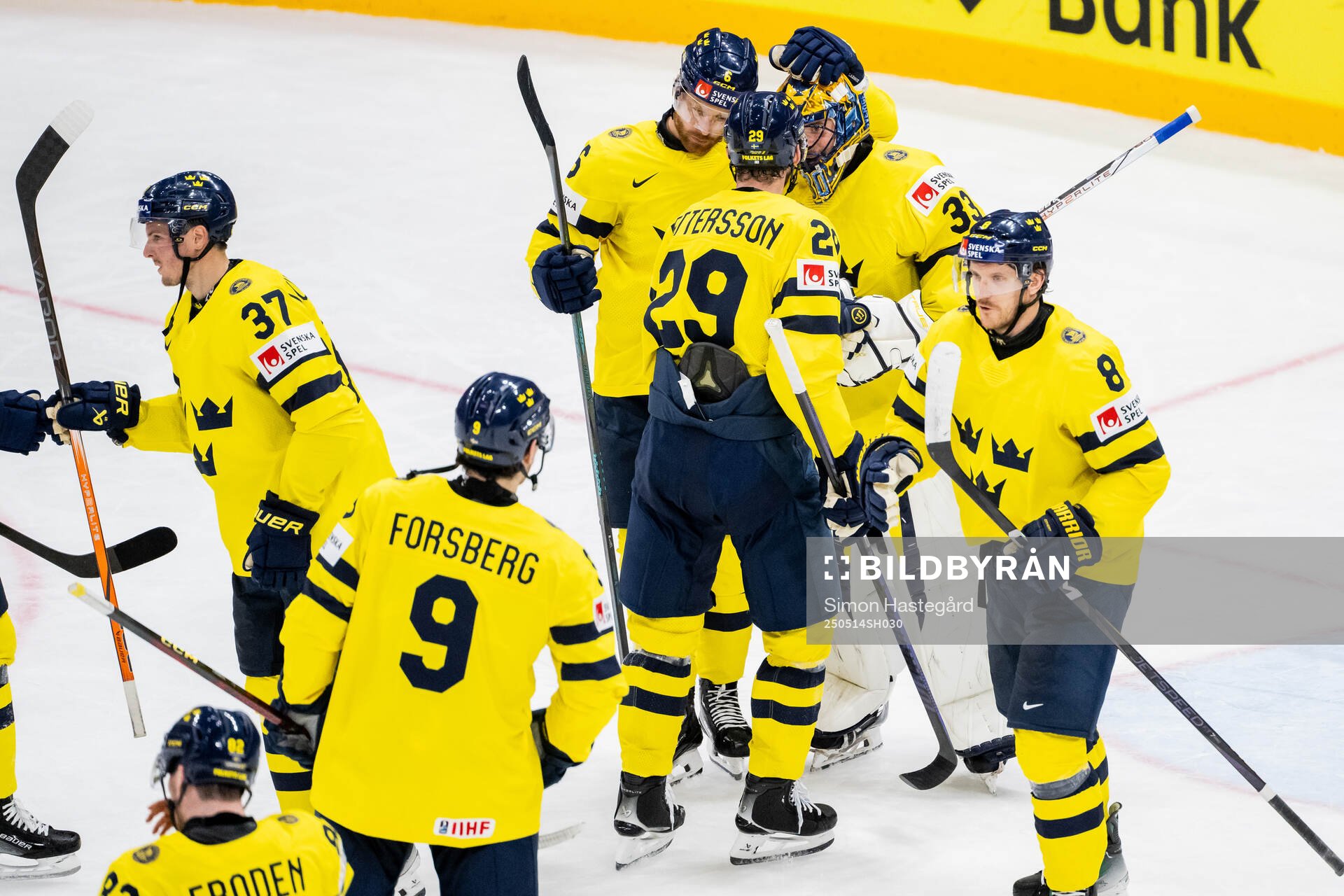 Adam Larsson, Marcus Pettersson and goaltender Samuel