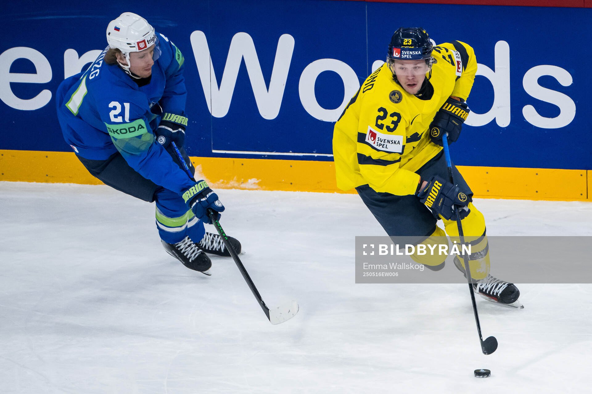 Jan Drozg of Slovenia and Lucas Raymond of Sweden