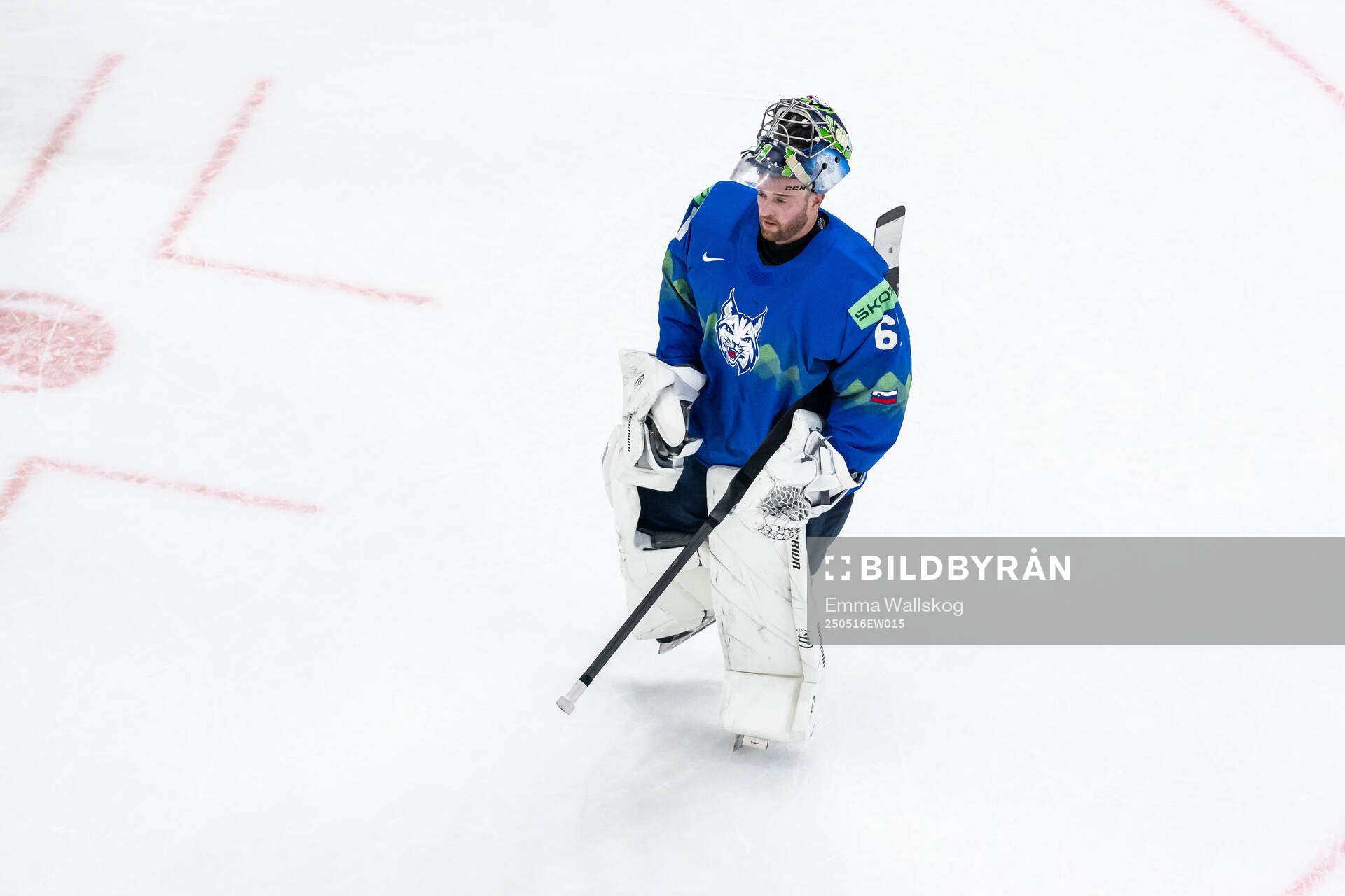 goaltender Lukas Horak of Slovenia looks dejected