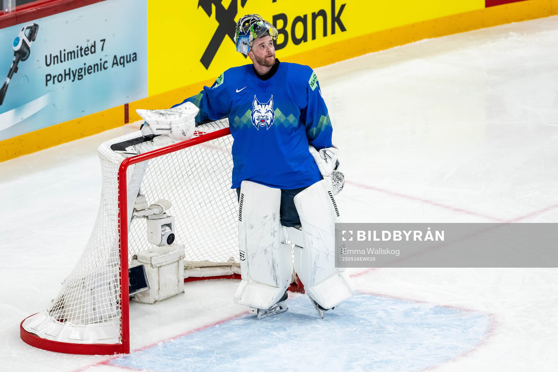 Goaltender Lukas Horak of Slovenia