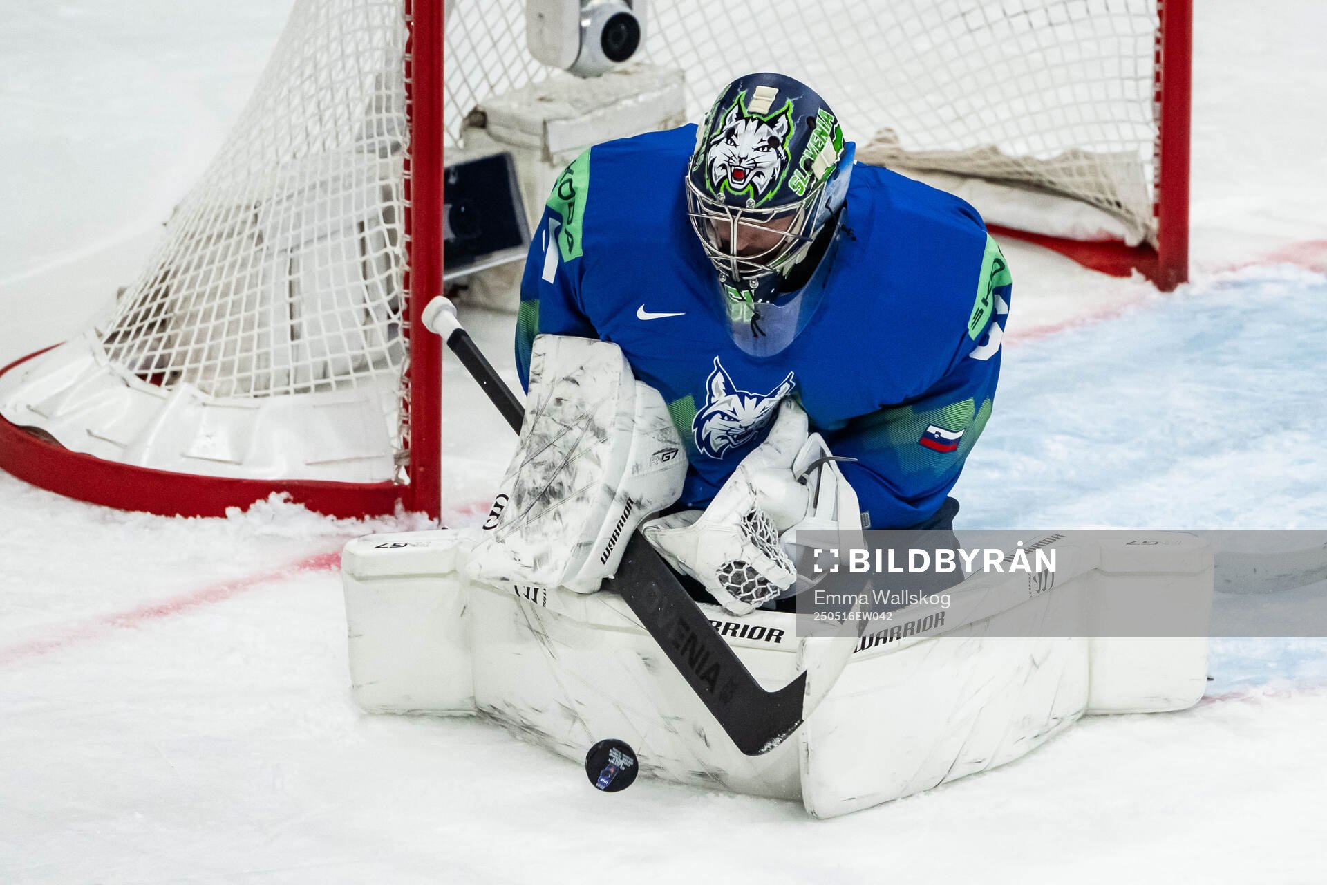 Goaltender Lukas Horak of Slovenia