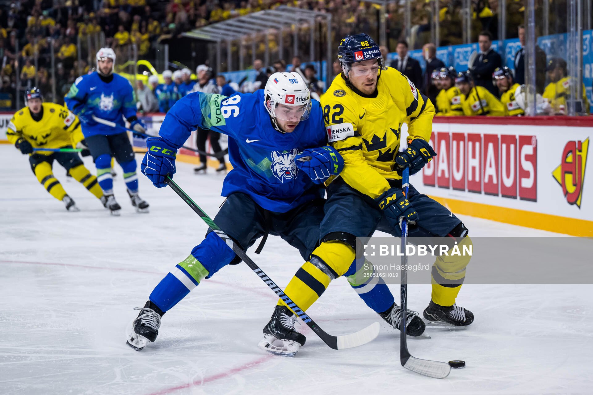 Bine Masic of Slovenia and Jesper Frödén of Sweden