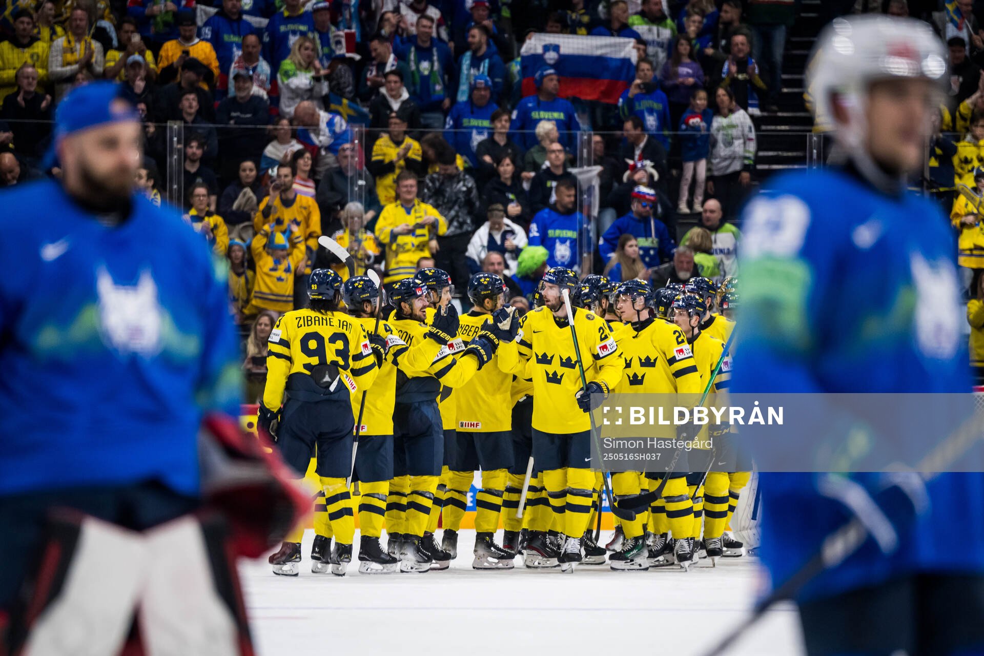 Players of Sweden celebrate