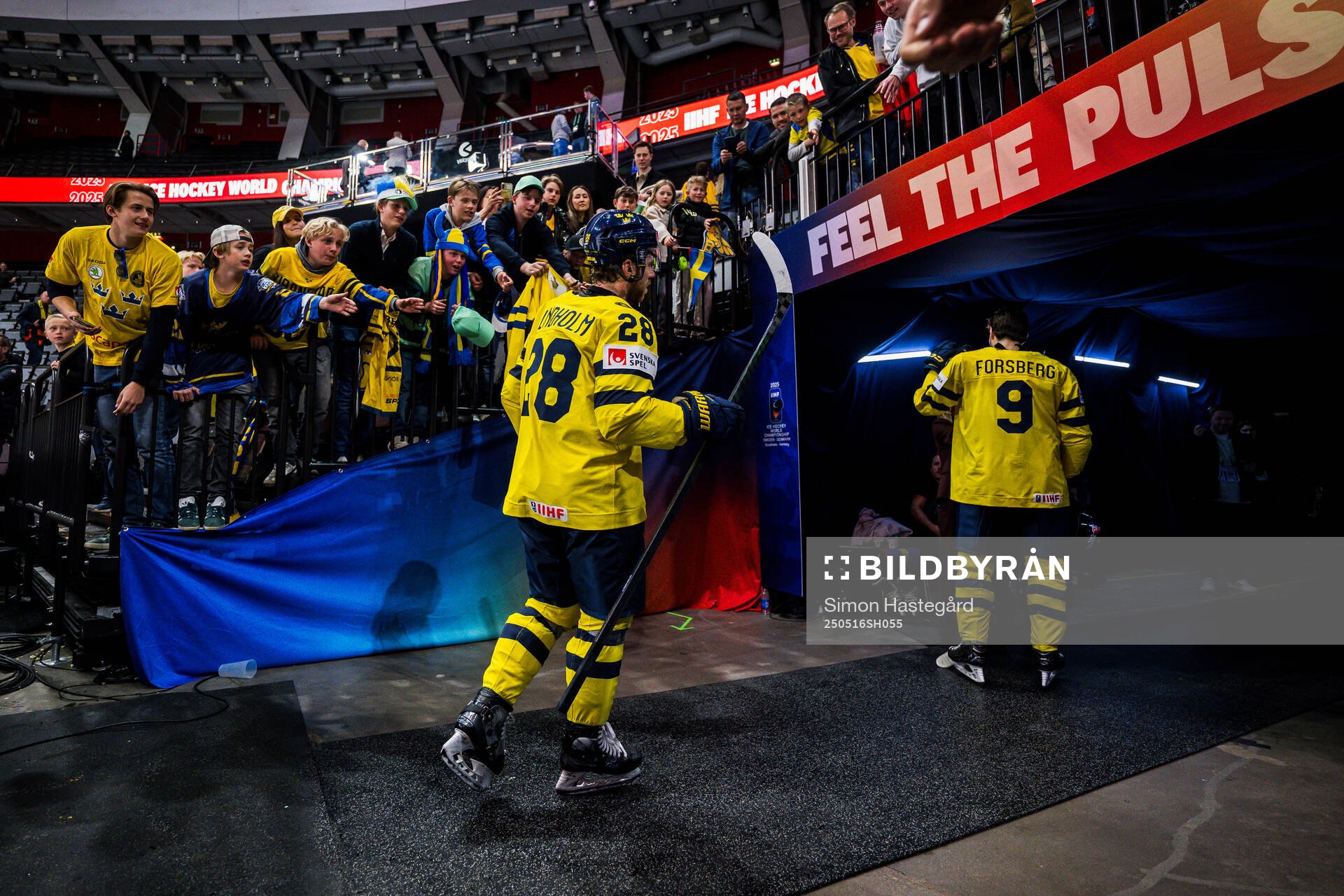 Elias Lindholm of Sweden