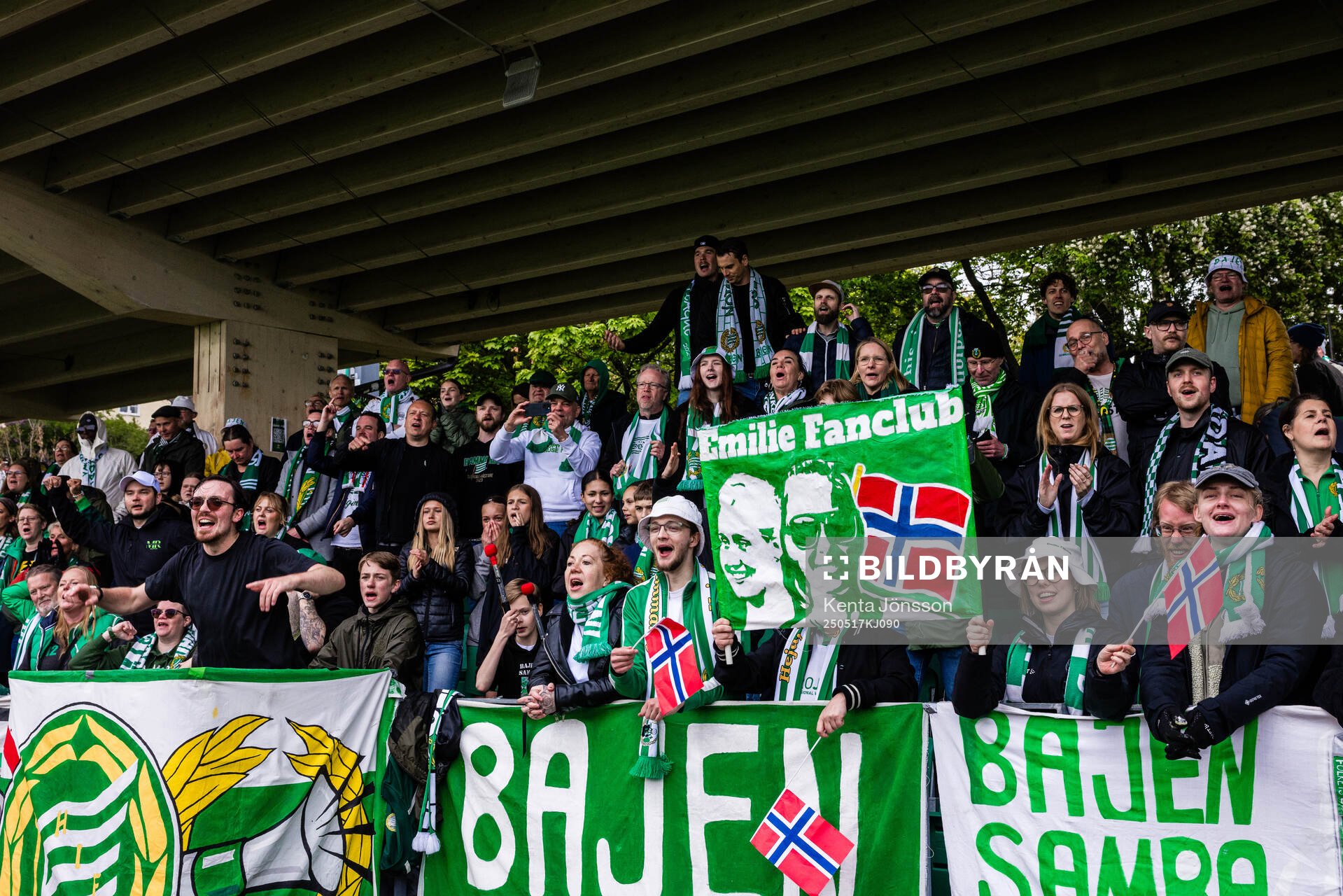 Hammarbys supportrar jublar med norska flaggor och en