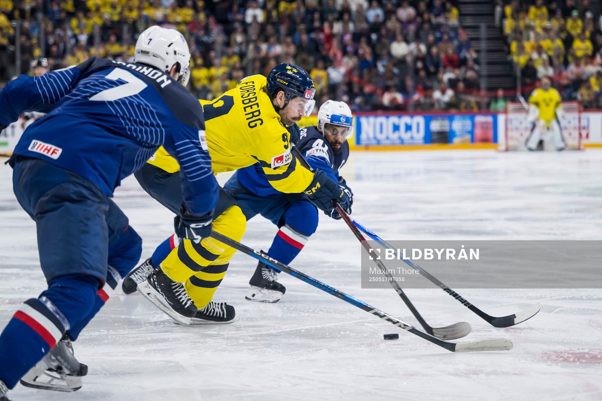 Filip Forsberg of Sweden and Pierre-Edouard Bellemare of