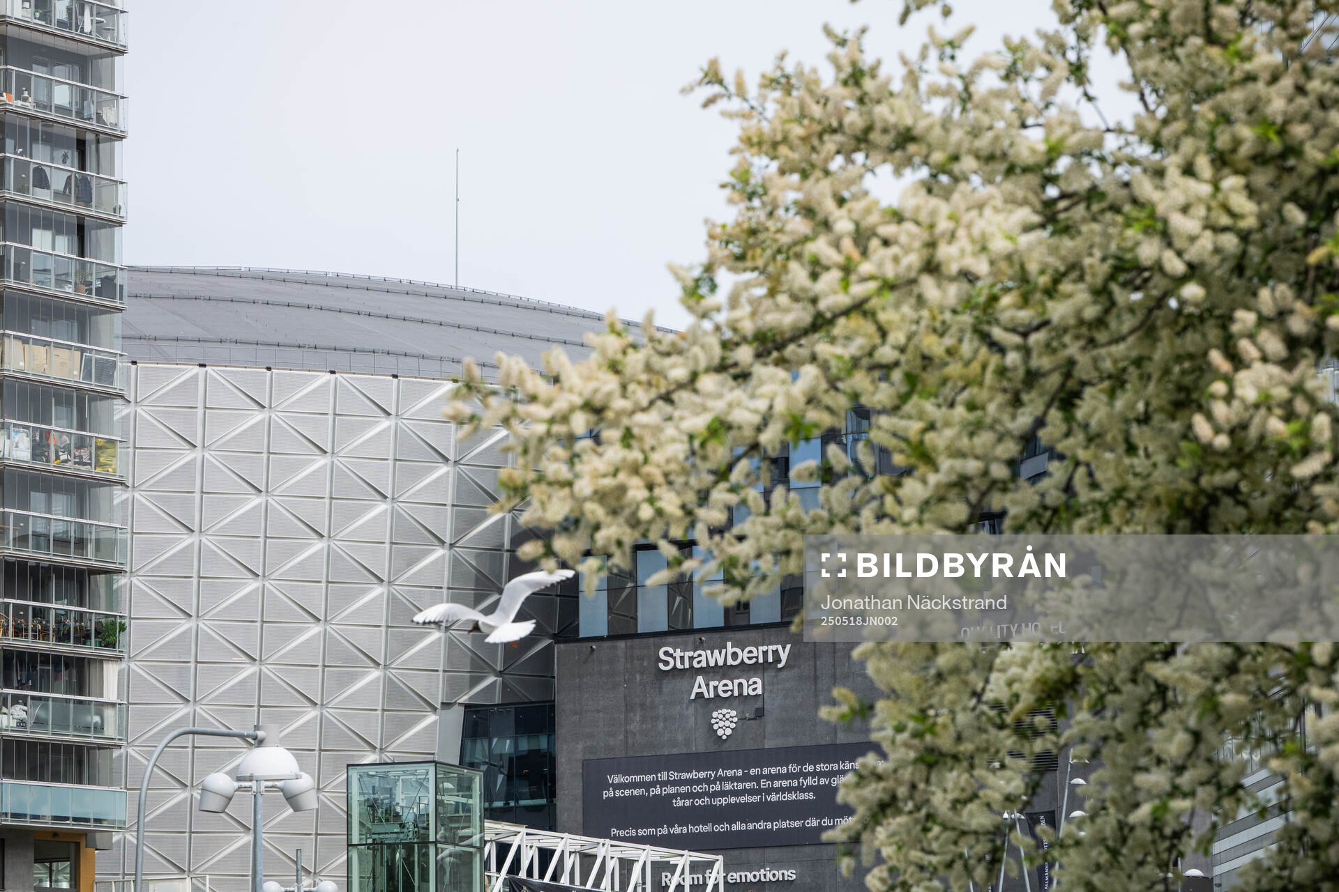 Exteriör vy över Strawberry Arena inför fotbollsmatchen i Allsvenskan mellan AIK och Hammarby den 18 maj 2025 i Stockholm. 